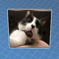Steam Workshop Connorz - admin gravity cat orb roblox