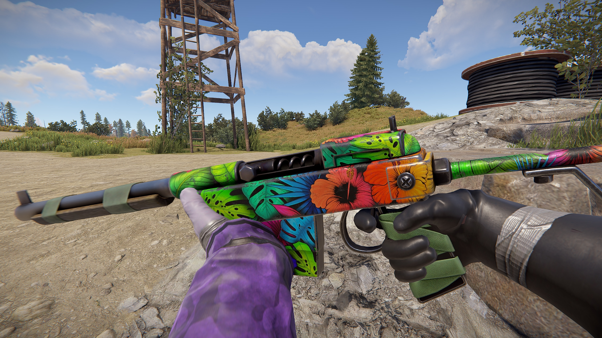 Jungle SAR thumbnail 3
