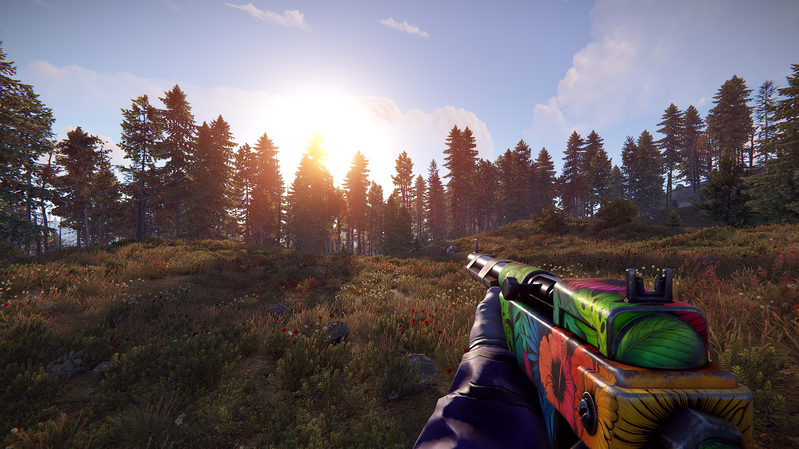 Jungle SAR thumbnail 7