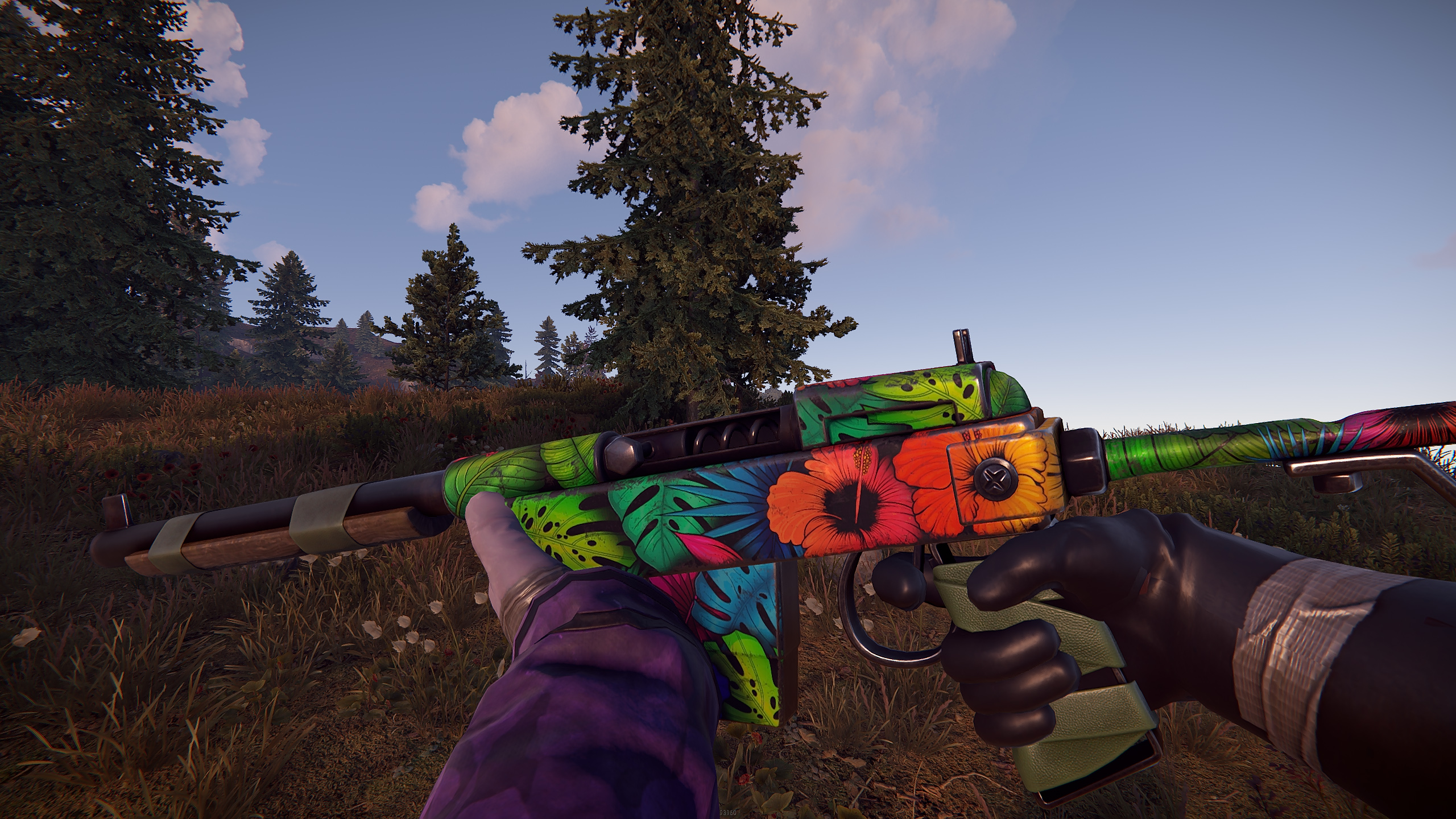 Jungle SAR thumbnail 9