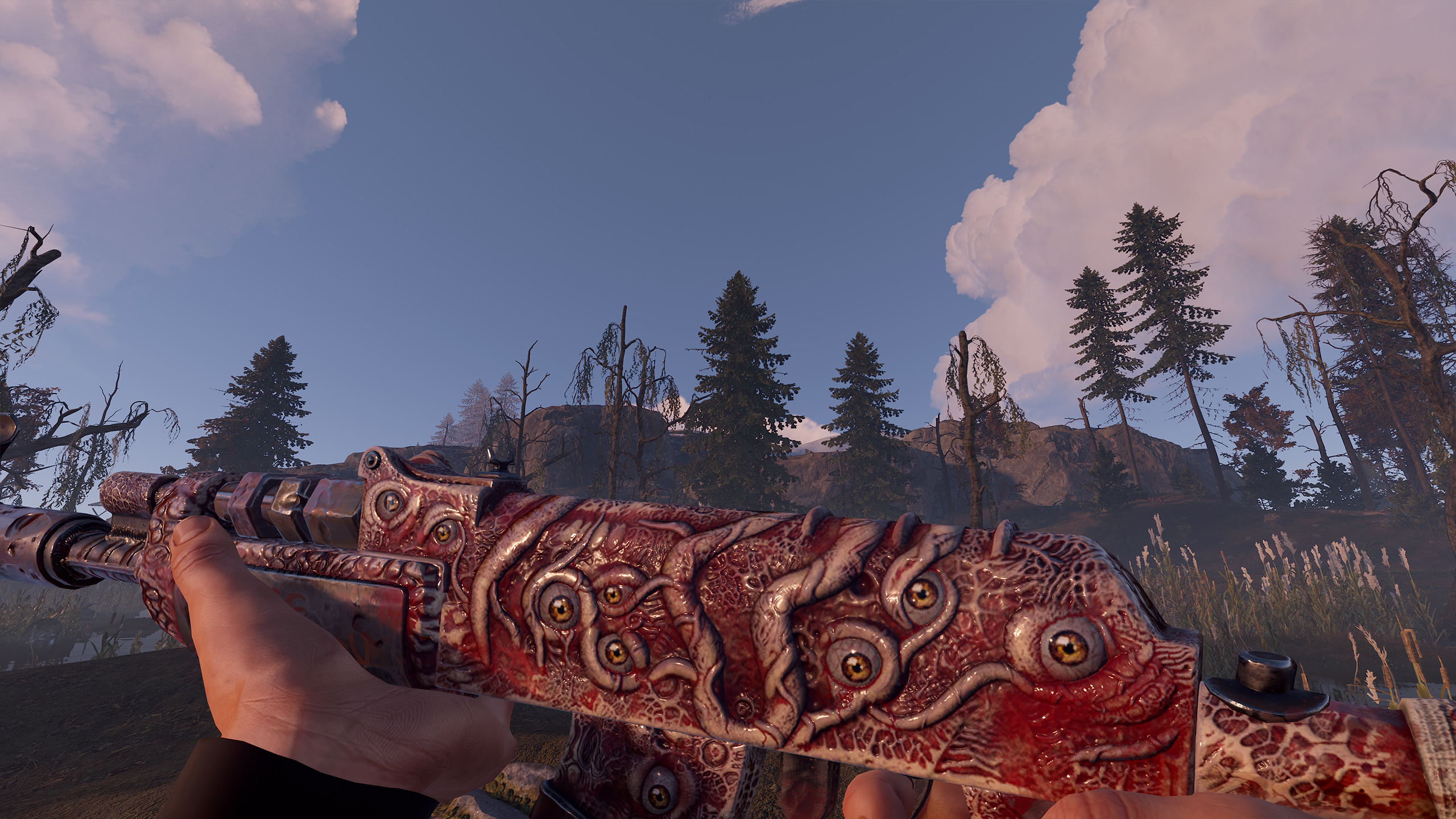Gore AR thumbnail 4