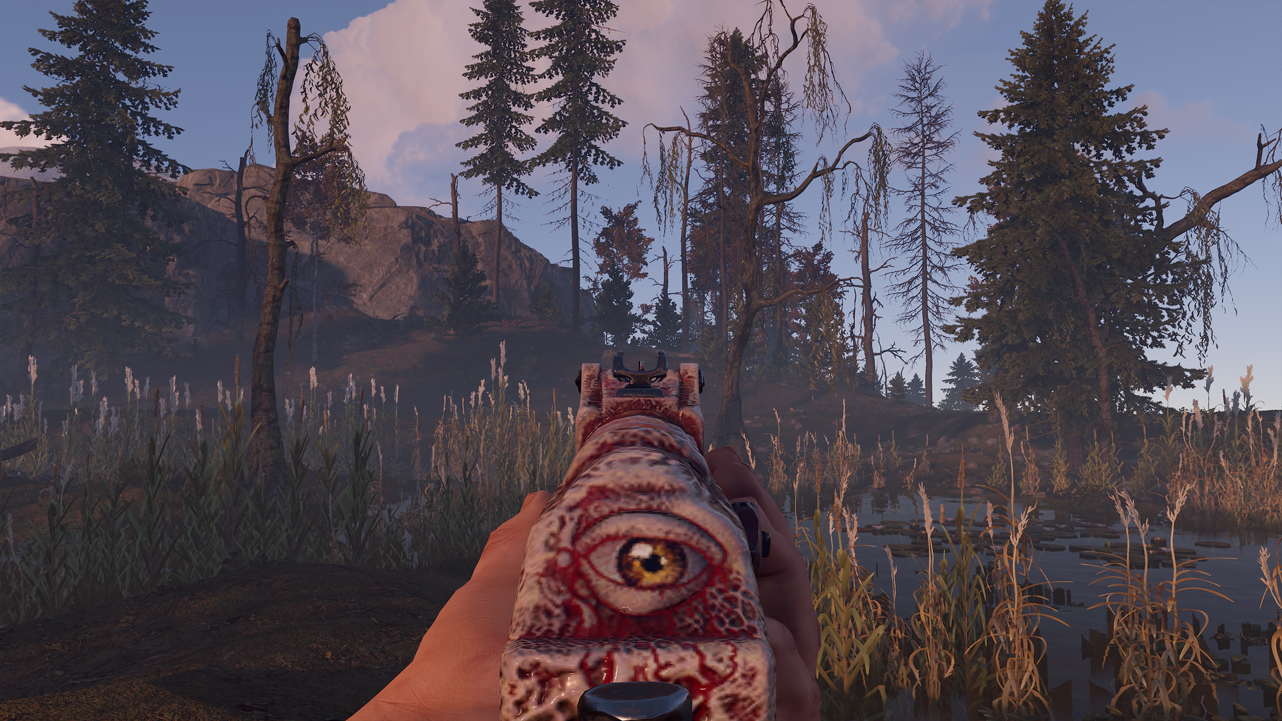 Gore AR thumbnail 9