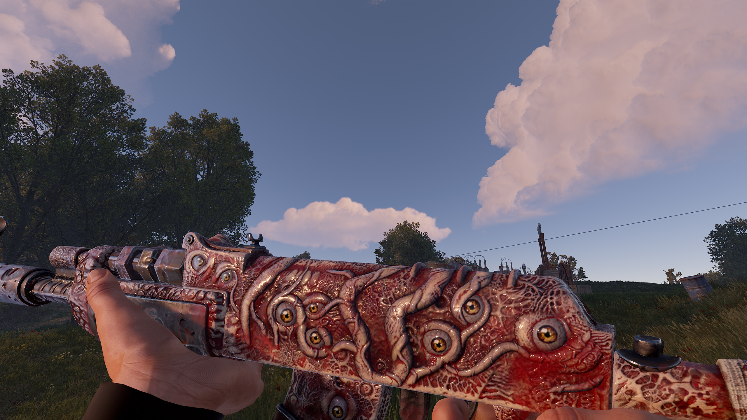 Gore AR thumbnail 10