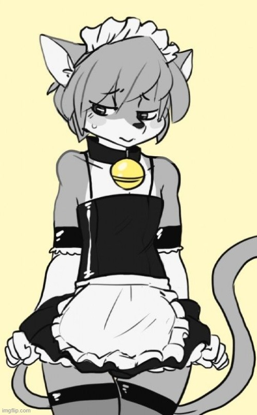 My furry maid. Фурри горничная фембой. Фурри горничная фембой Лис. Furry Trap горничная. Фурри Протоген горничная