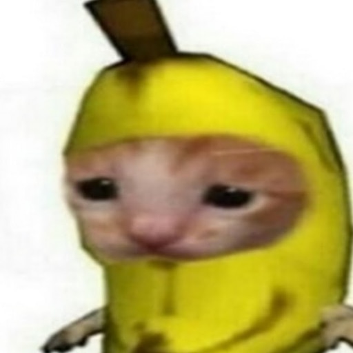 Кот банан фото Кот банан фото