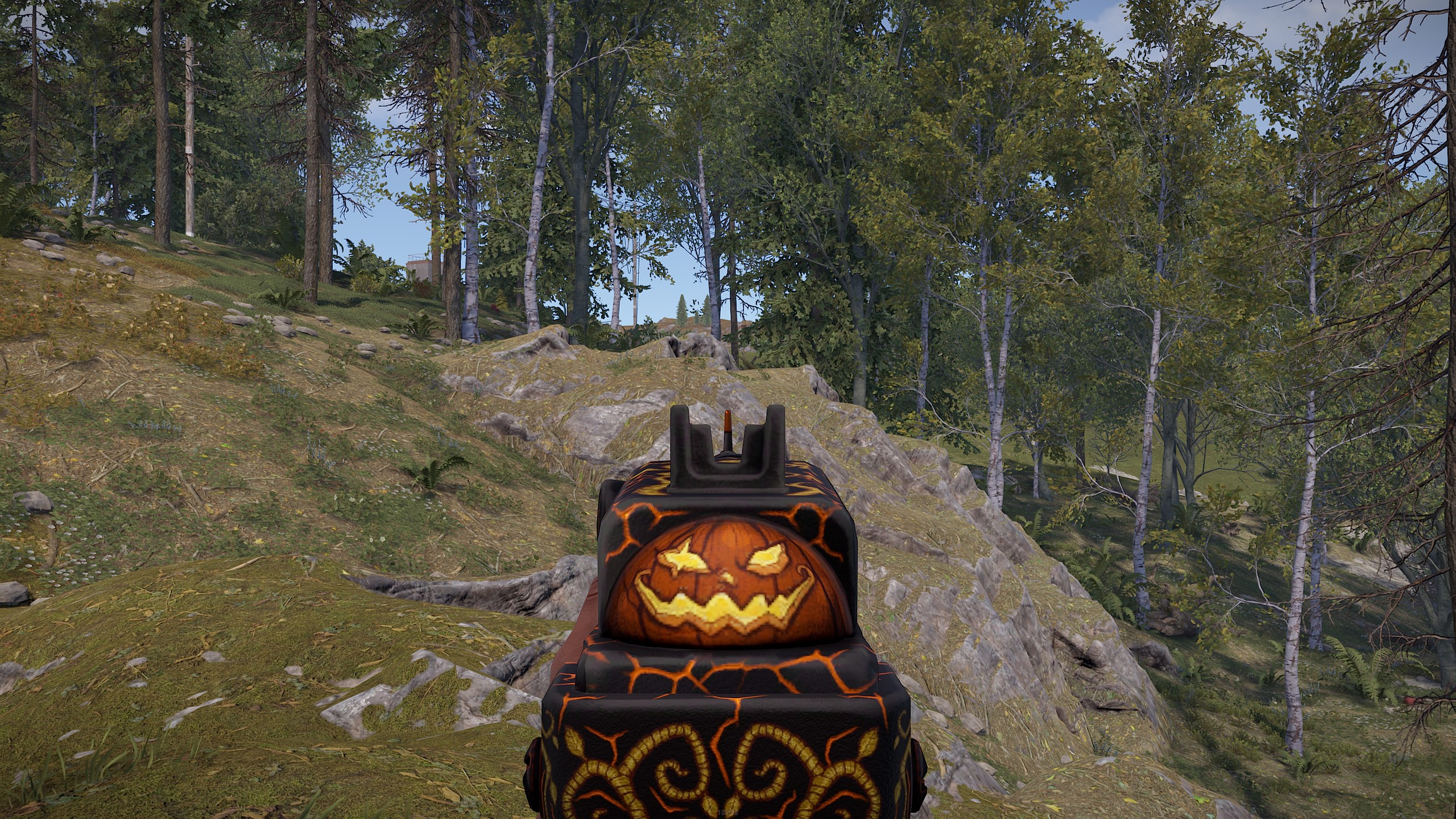 Pumpkin Exhibition SAR thumbnail 6