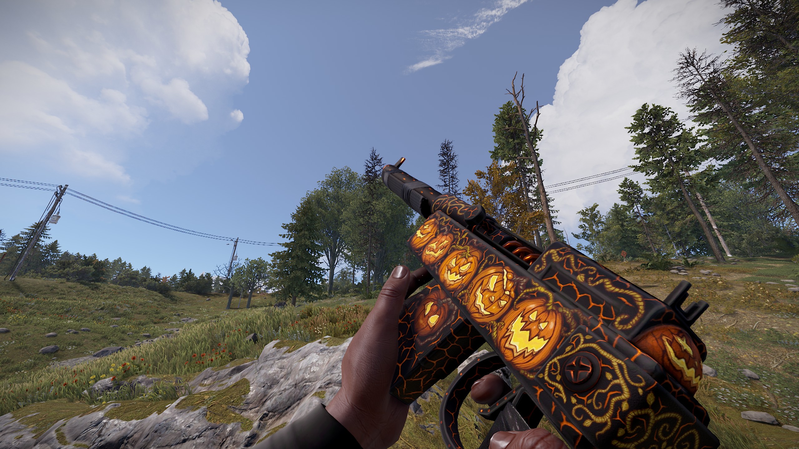 Pumpkin Exhibition SAR thumbnail 2