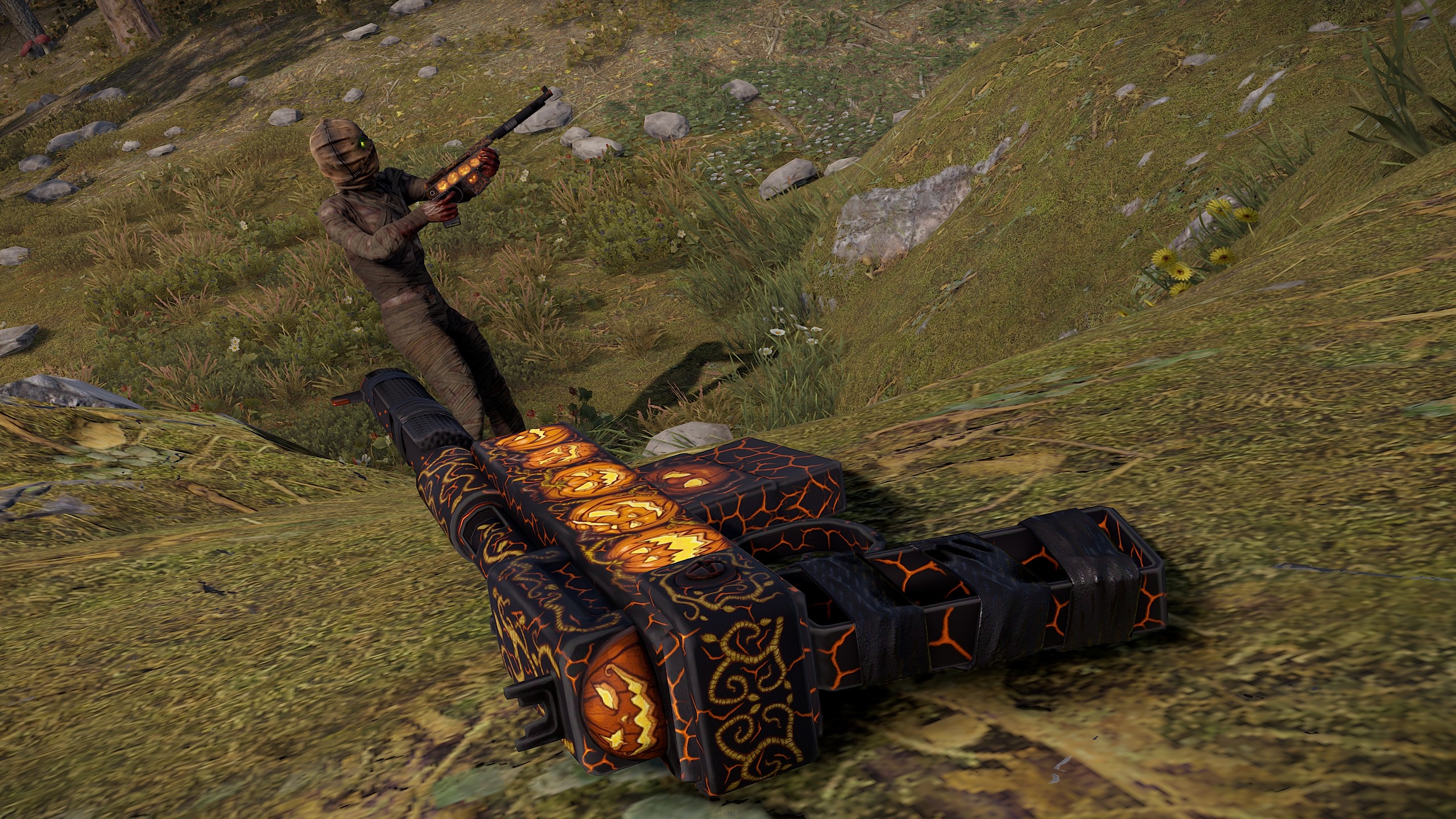Pumpkin Exhibition SAR thumbnail 3