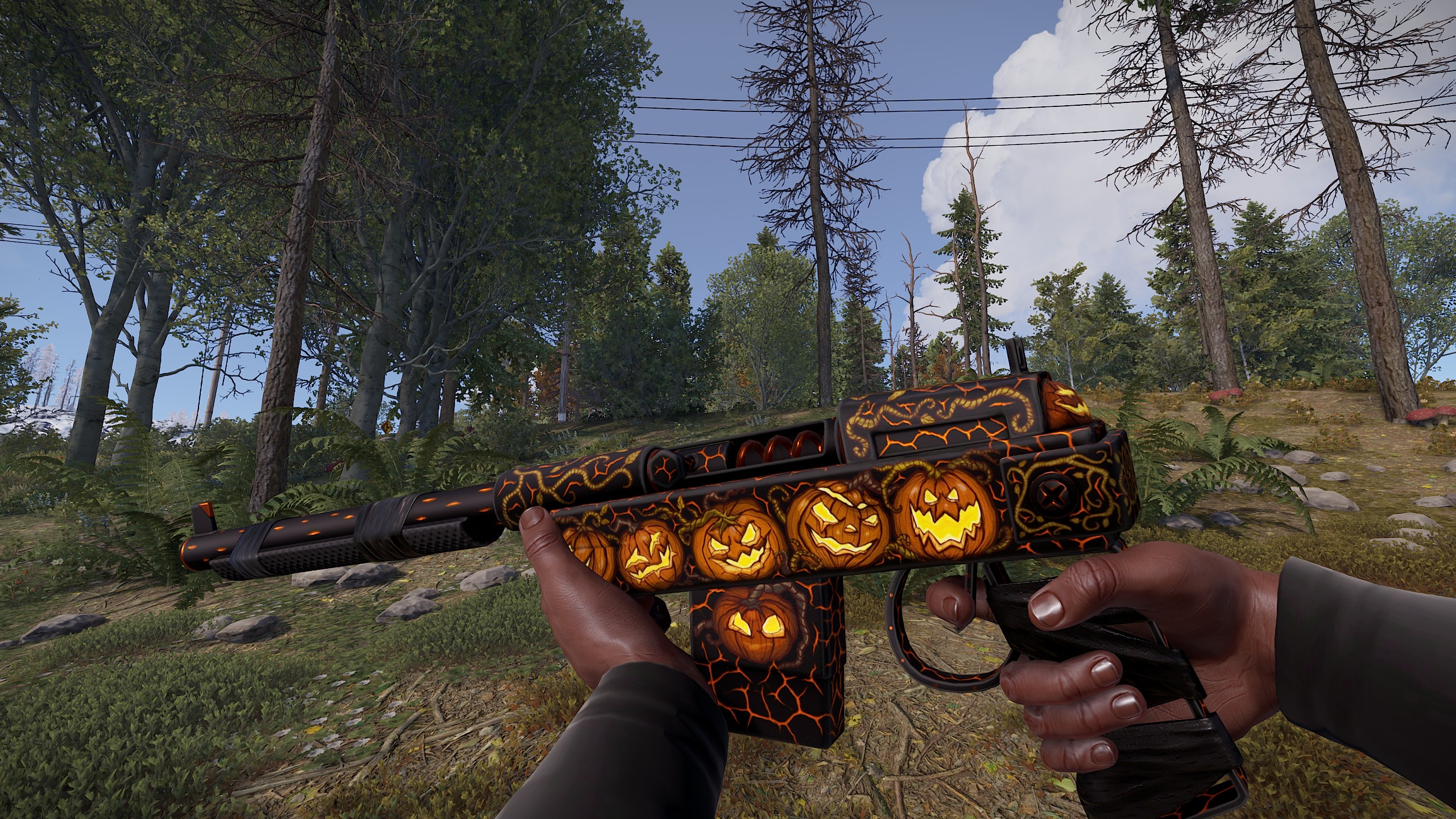 Pumpkin Exhibition SAR thumbnail 5
