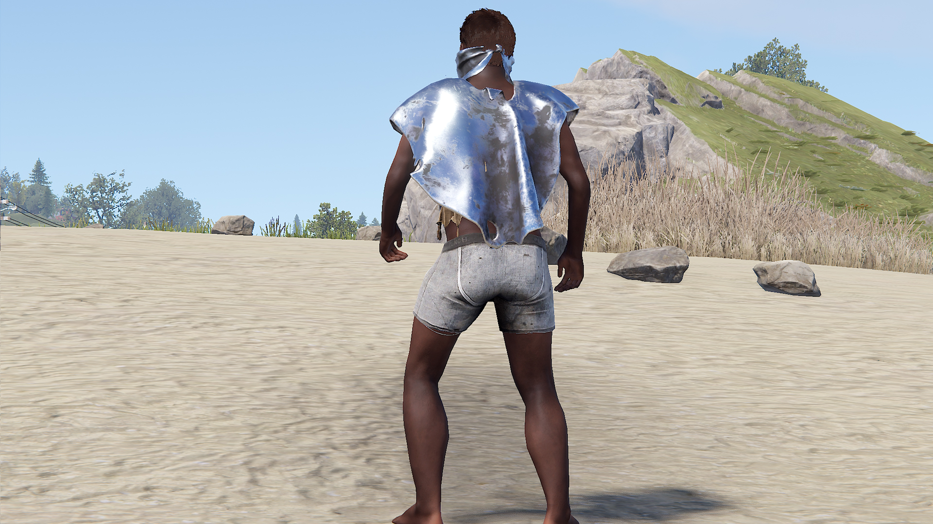Metal Poncho thumbnail 2
