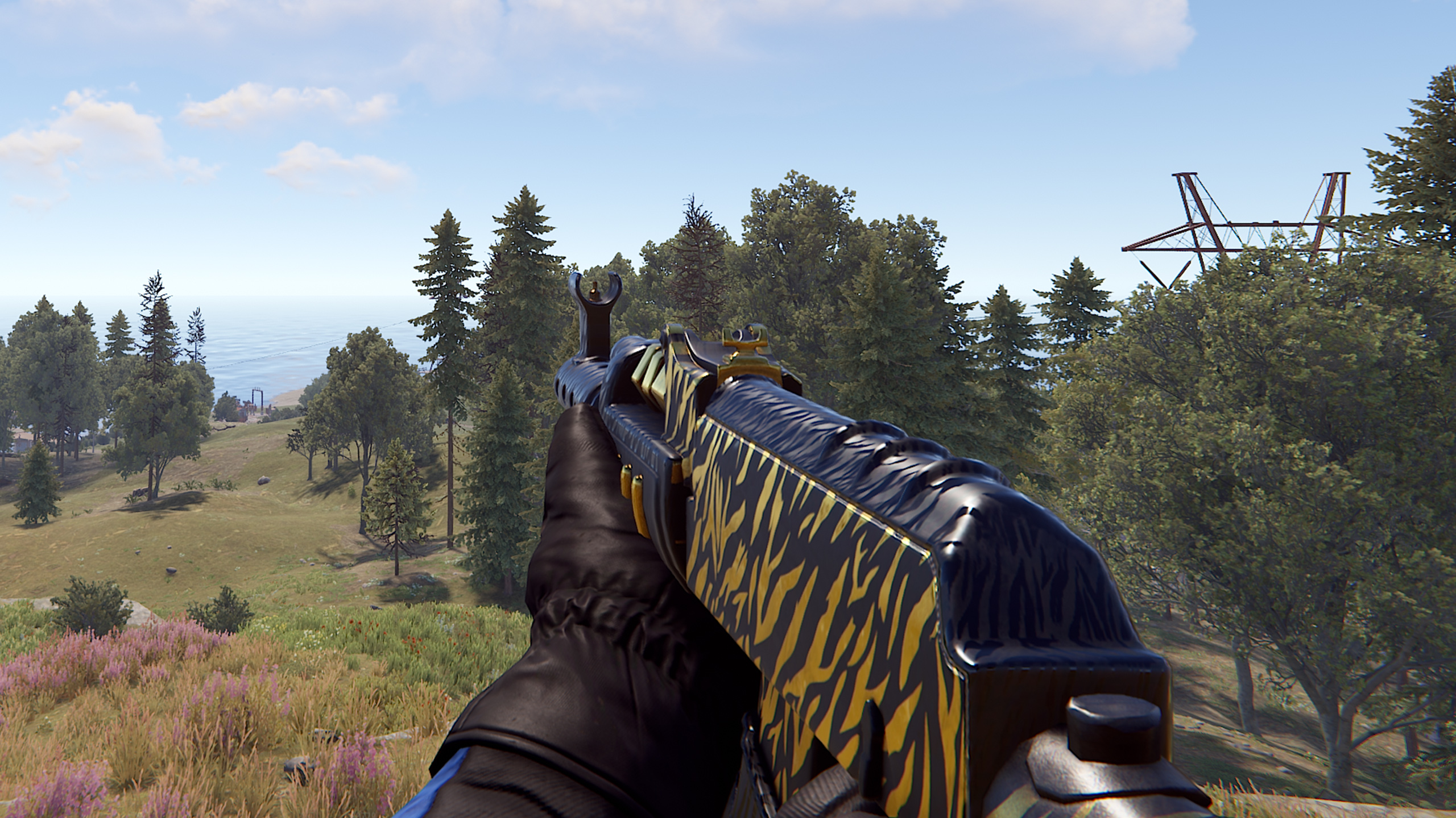 Royal Safari AR thumbnail 7