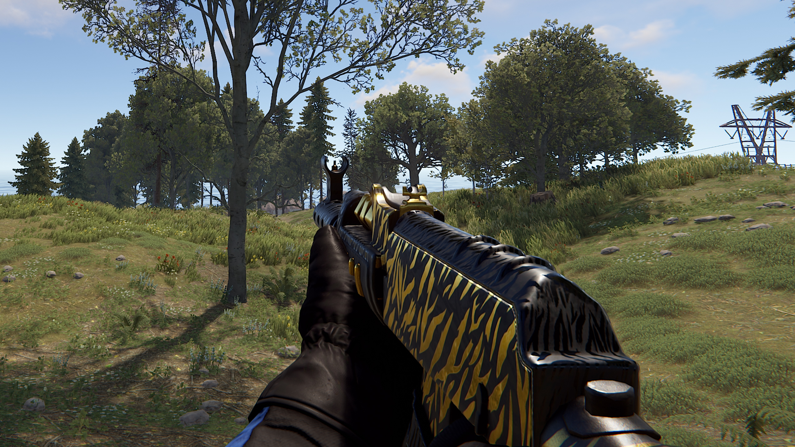 Royal Safari AR thumbnail 8