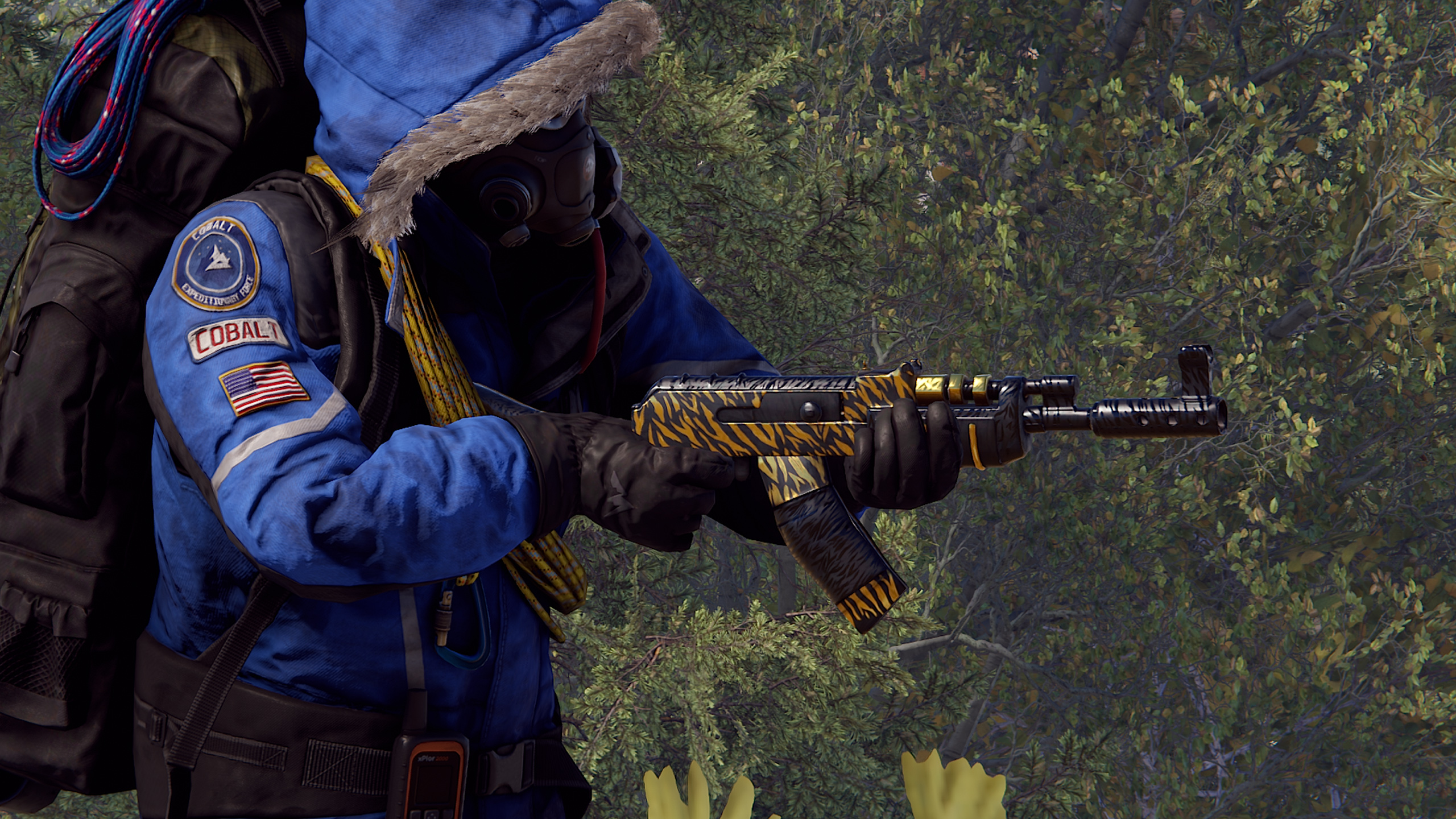 Royal Safari AR thumbnail 9