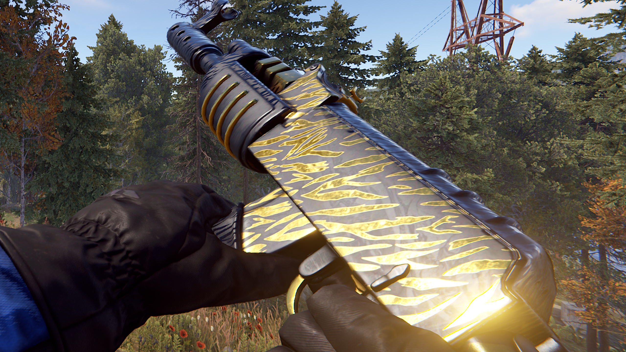Royal Safari AR thumbnail 5