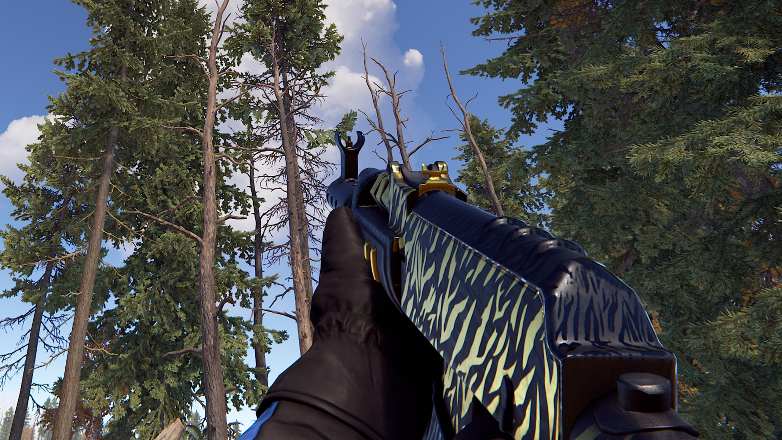 Royal Safari AR thumbnail 10