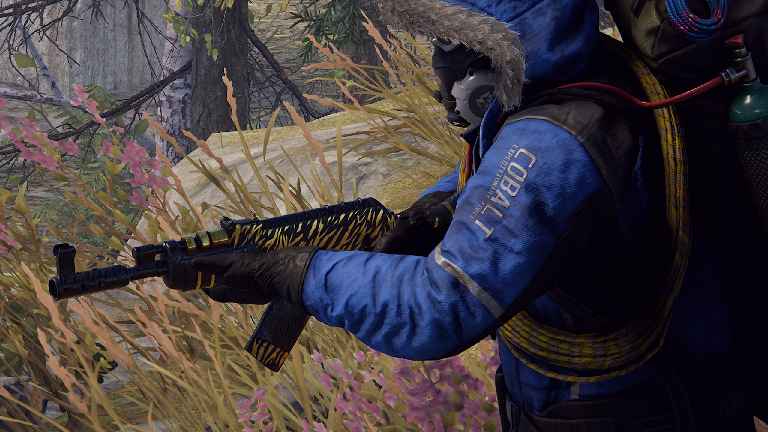 Royal Safari AR thumbnail 4