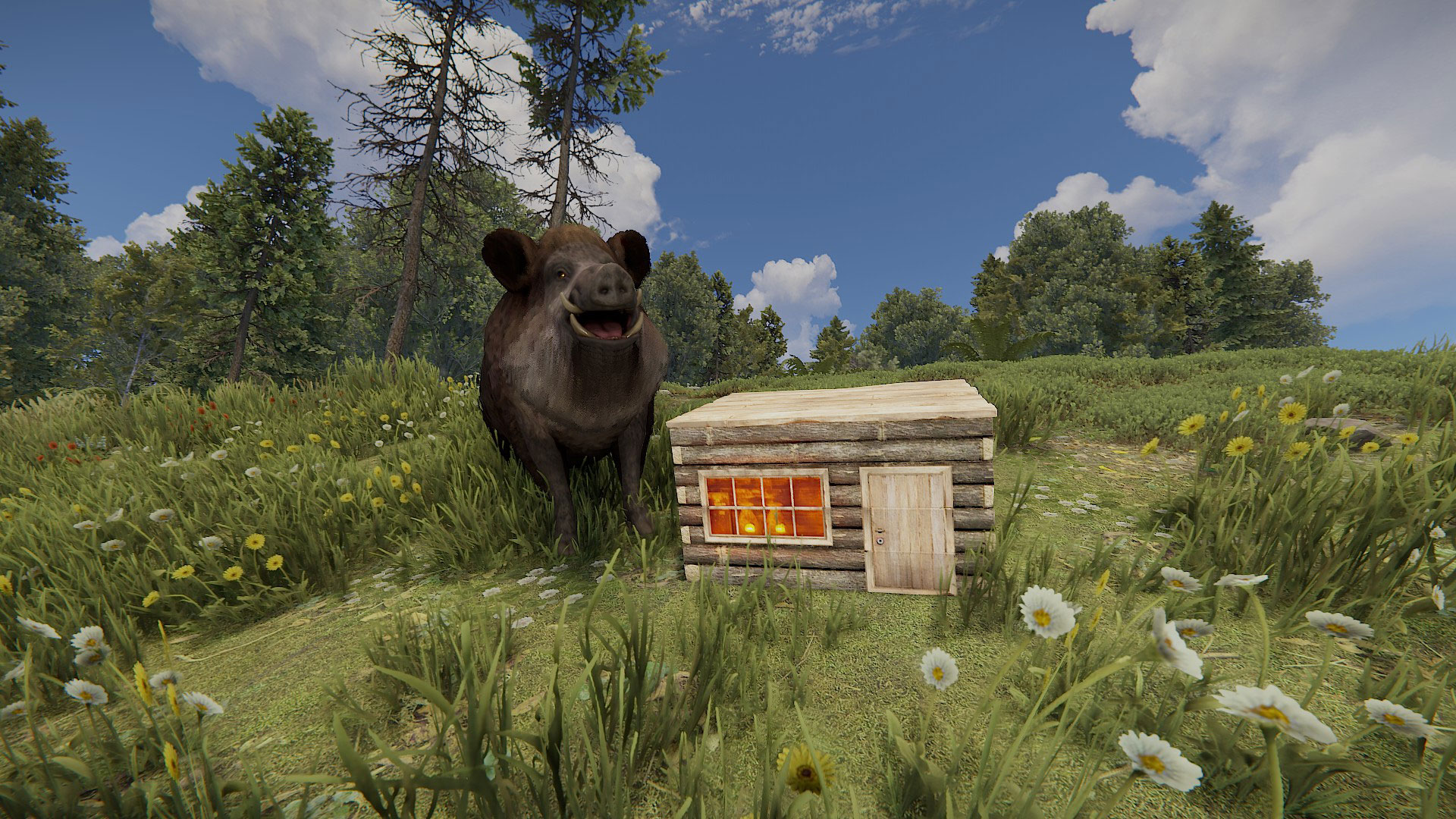 Wooden Base Box thumbnail 5