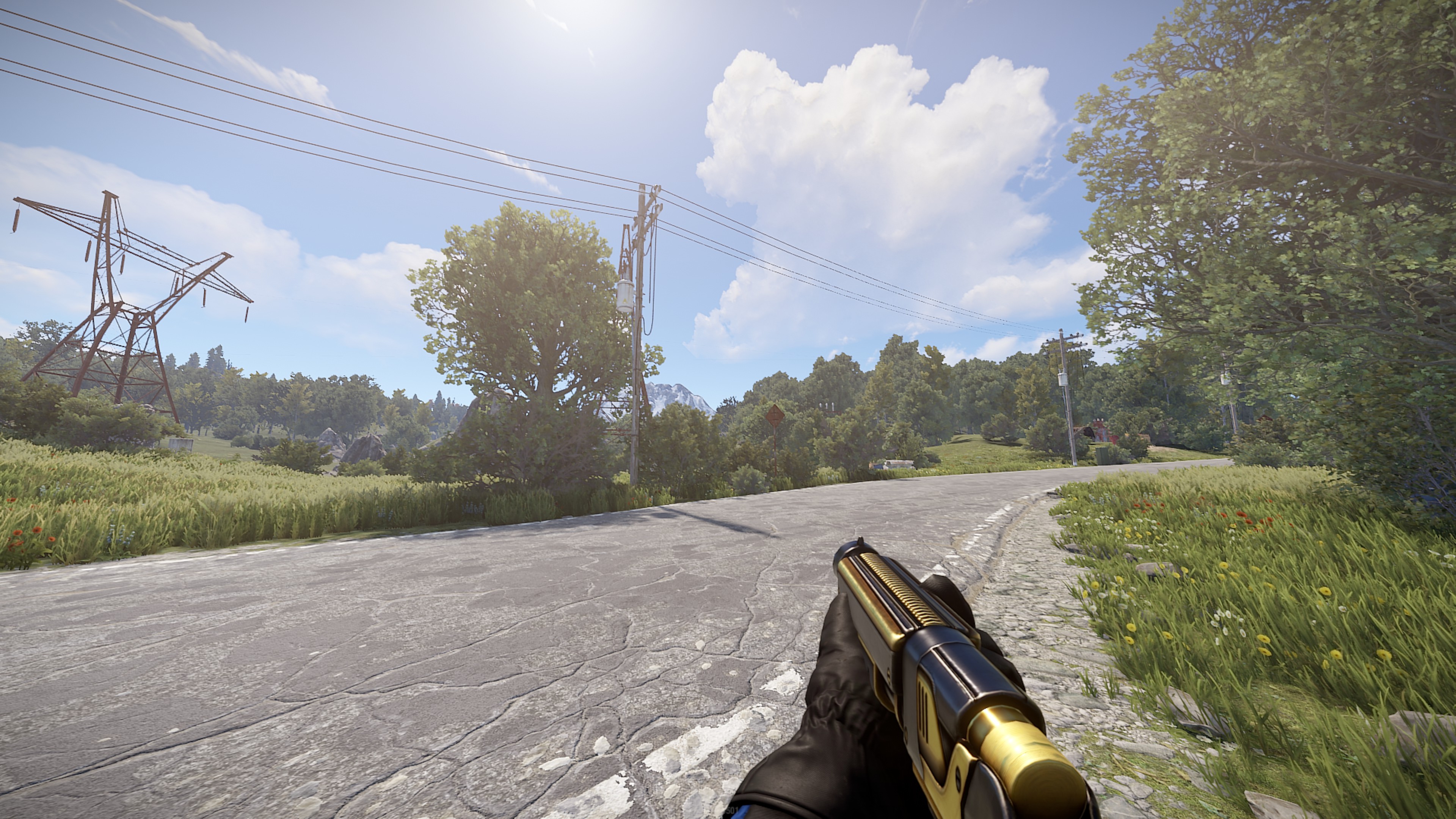 Black Gold Pump Shotgun screenshot 1