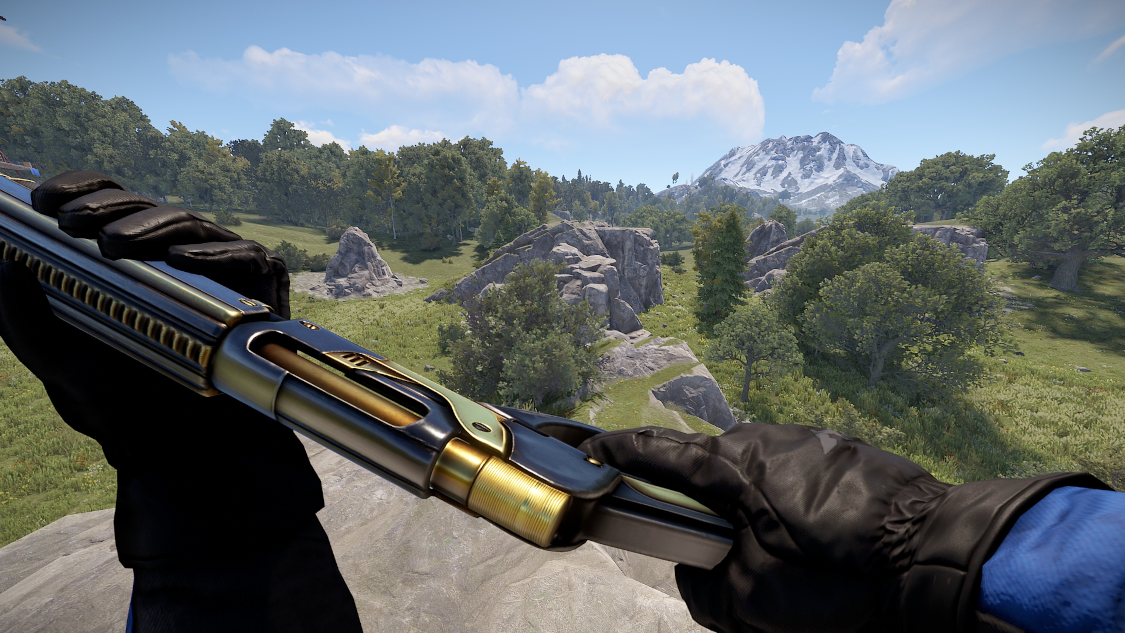 Black Gold Pump Shotgun thumbnail 3