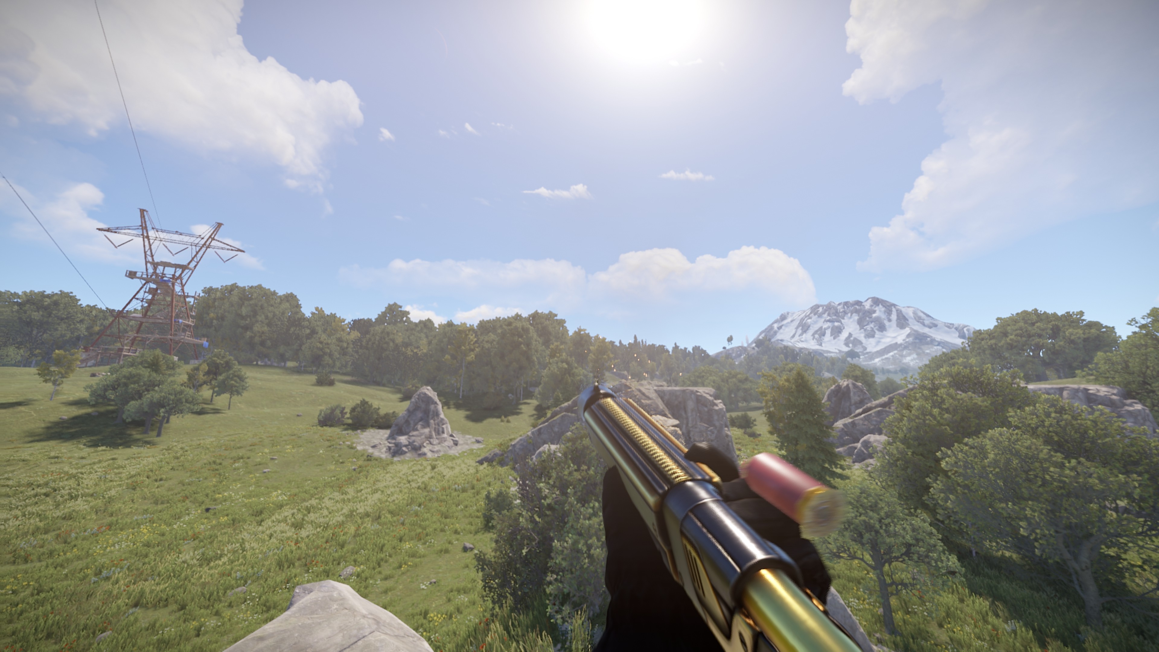 Black Gold Pump Shotgun thumbnail 5