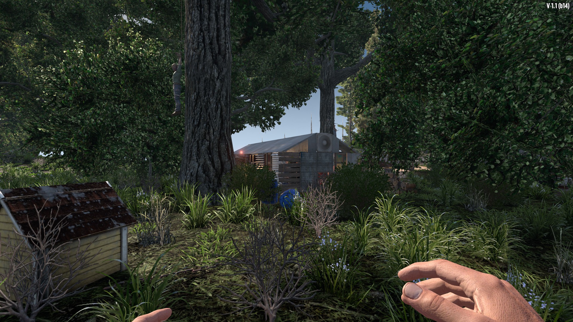 E8CEF600ADB5E62ED66CF31733B53EF669E70A01