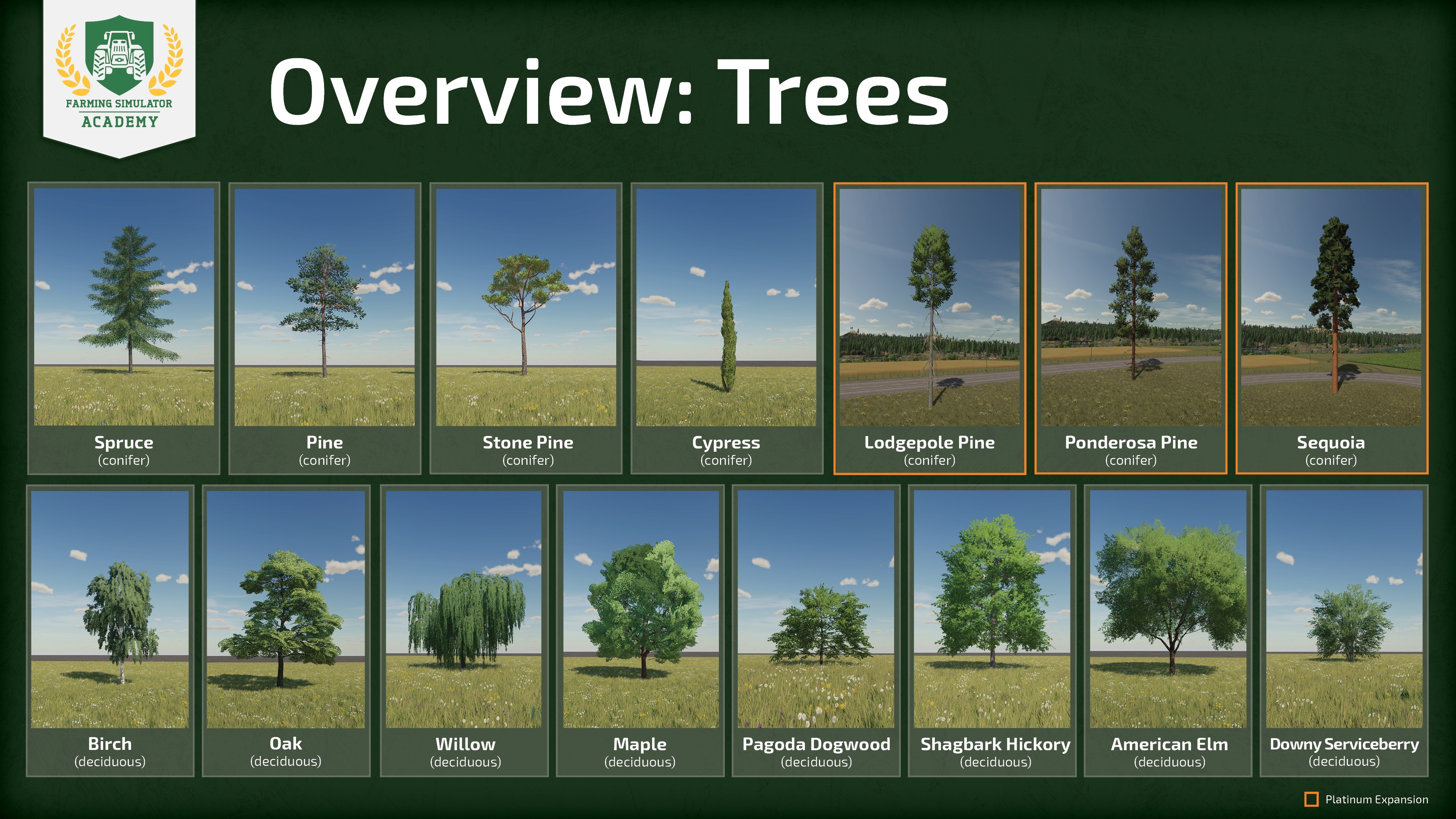 guide for trees grow time and Yield image 3