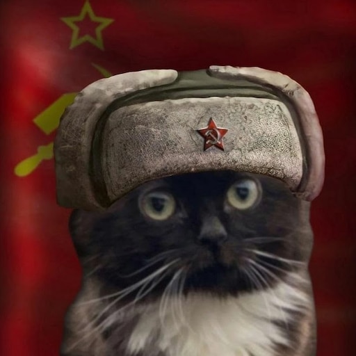 Мем кот с флагом ссср Мем кот с флагом ссср