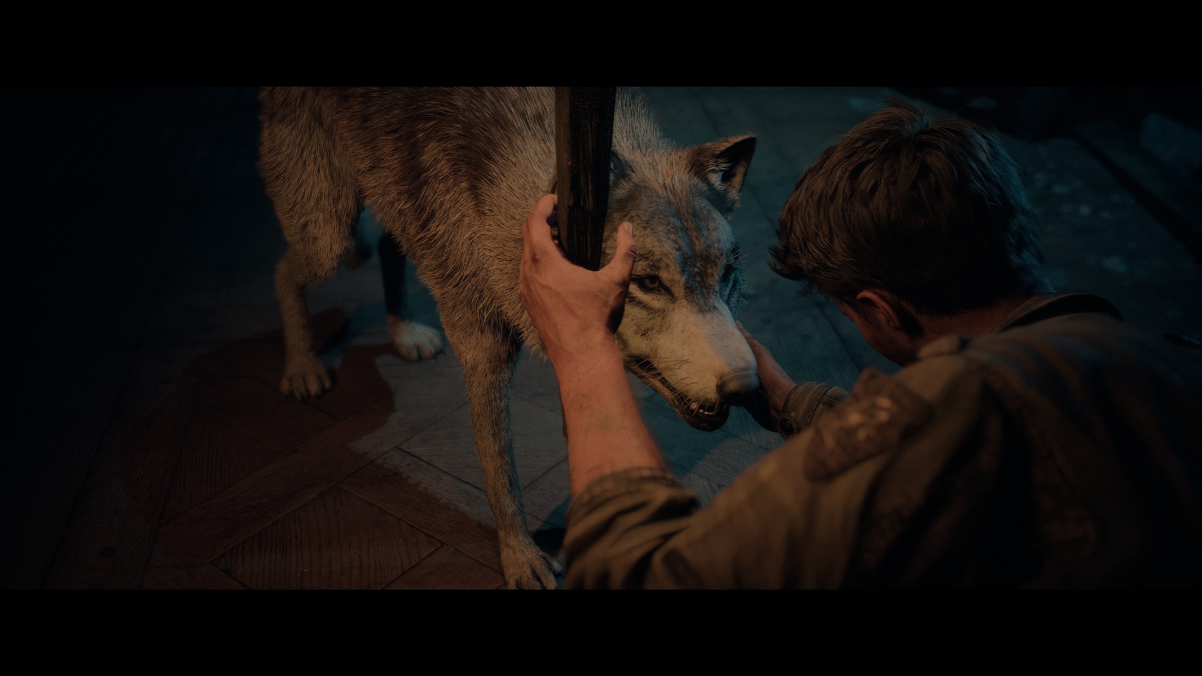 FD57015806D398423AD98C3157917EB31ACEF2A6