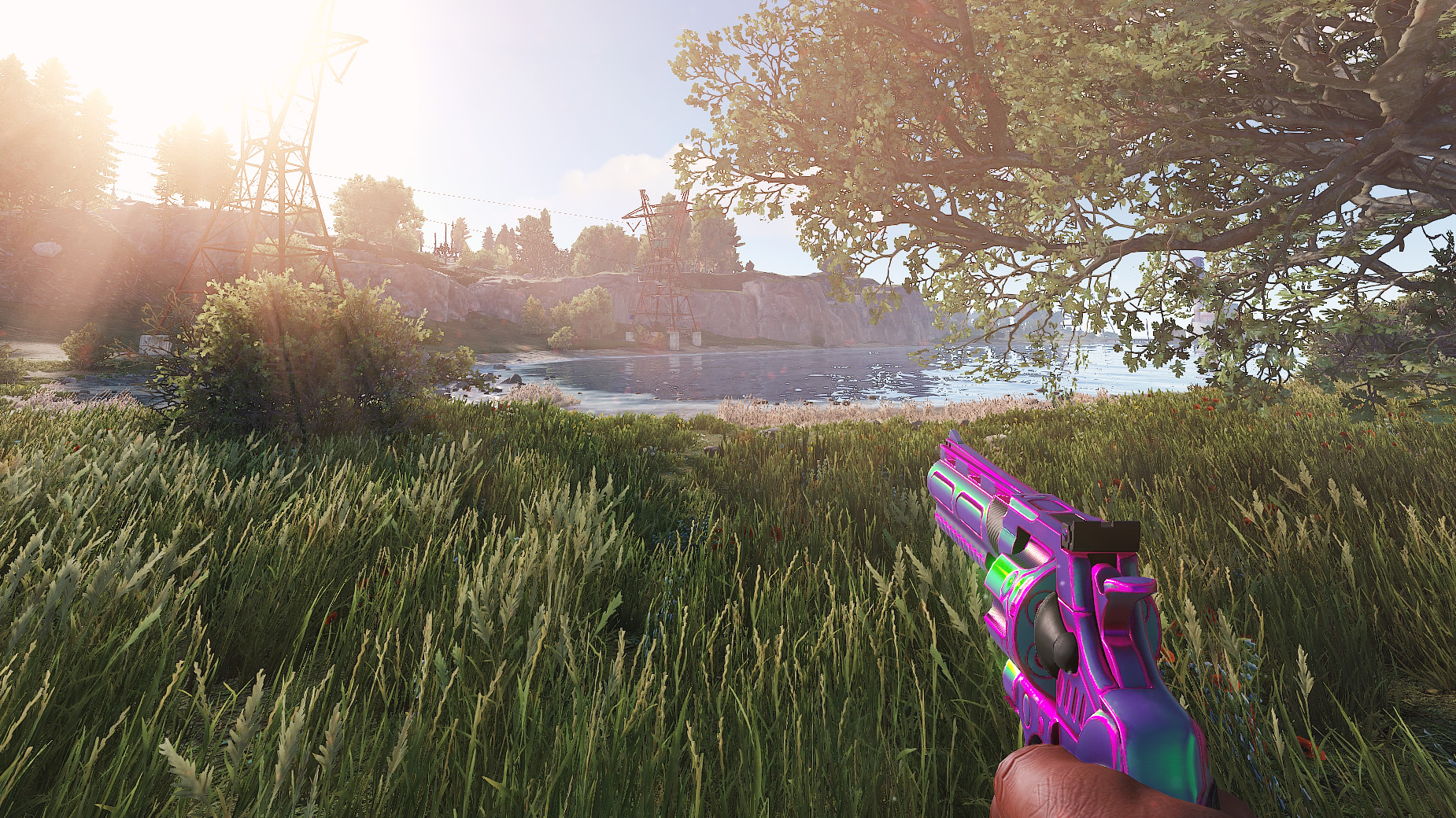 Chameleon Python thumbnail 8