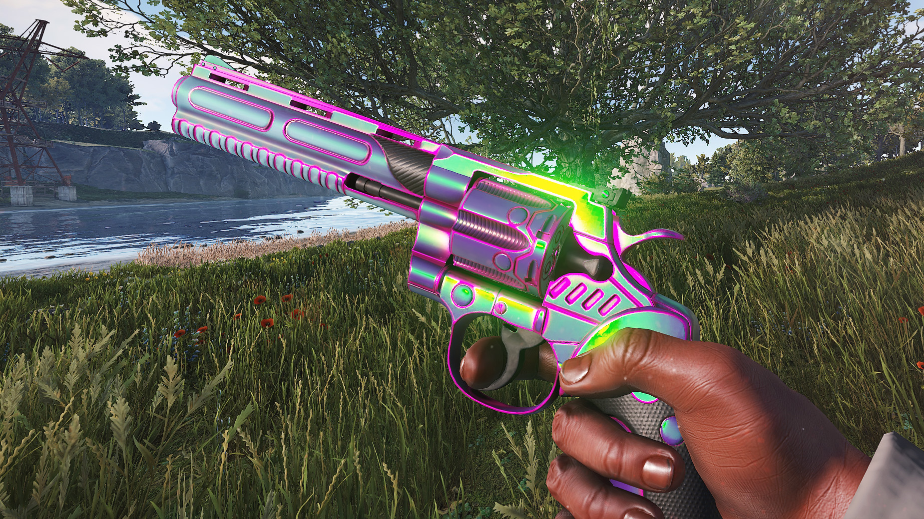 Chameleon Python screenshot 1