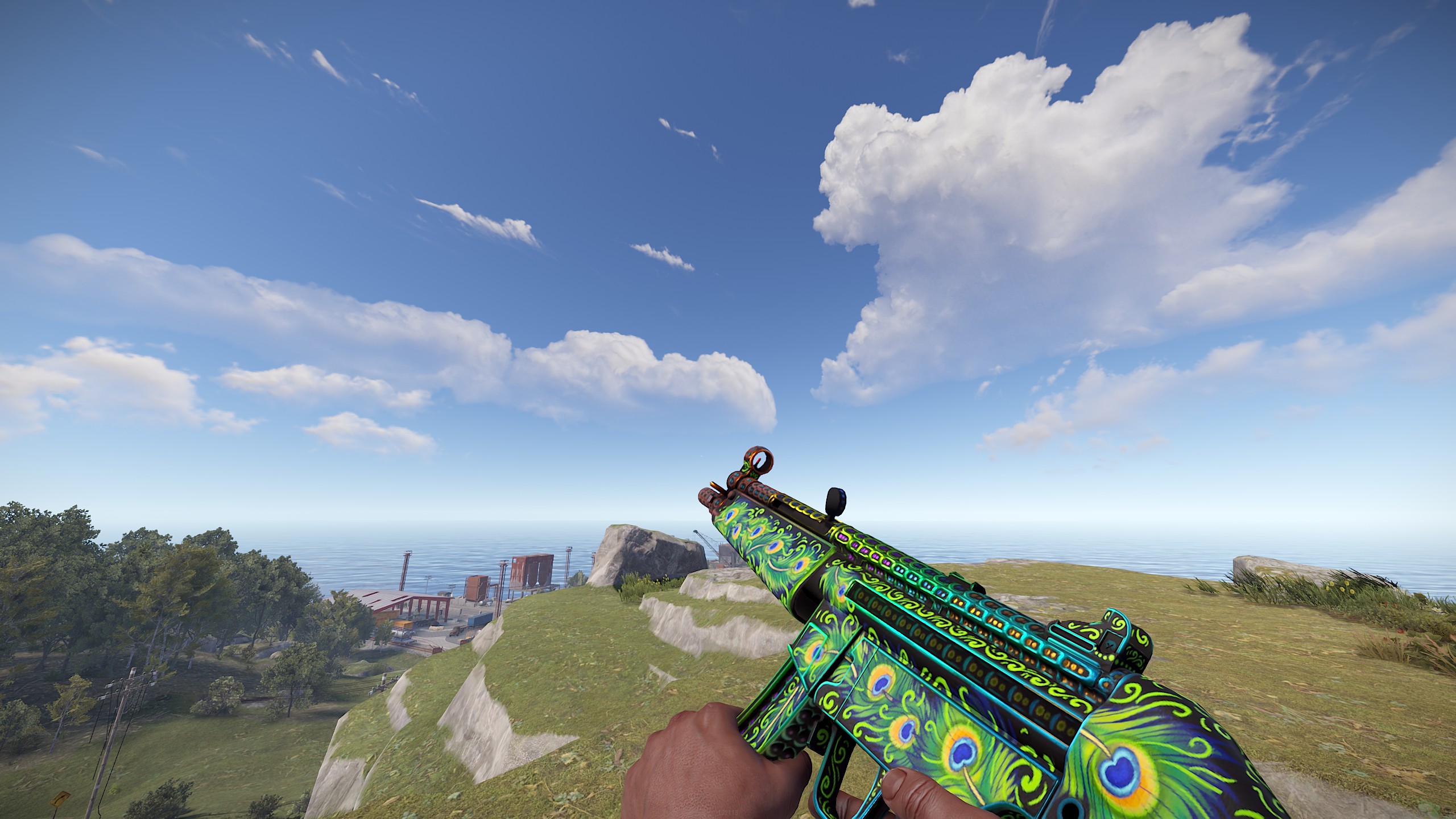 Bird of Luck MP5 thumbnail 6