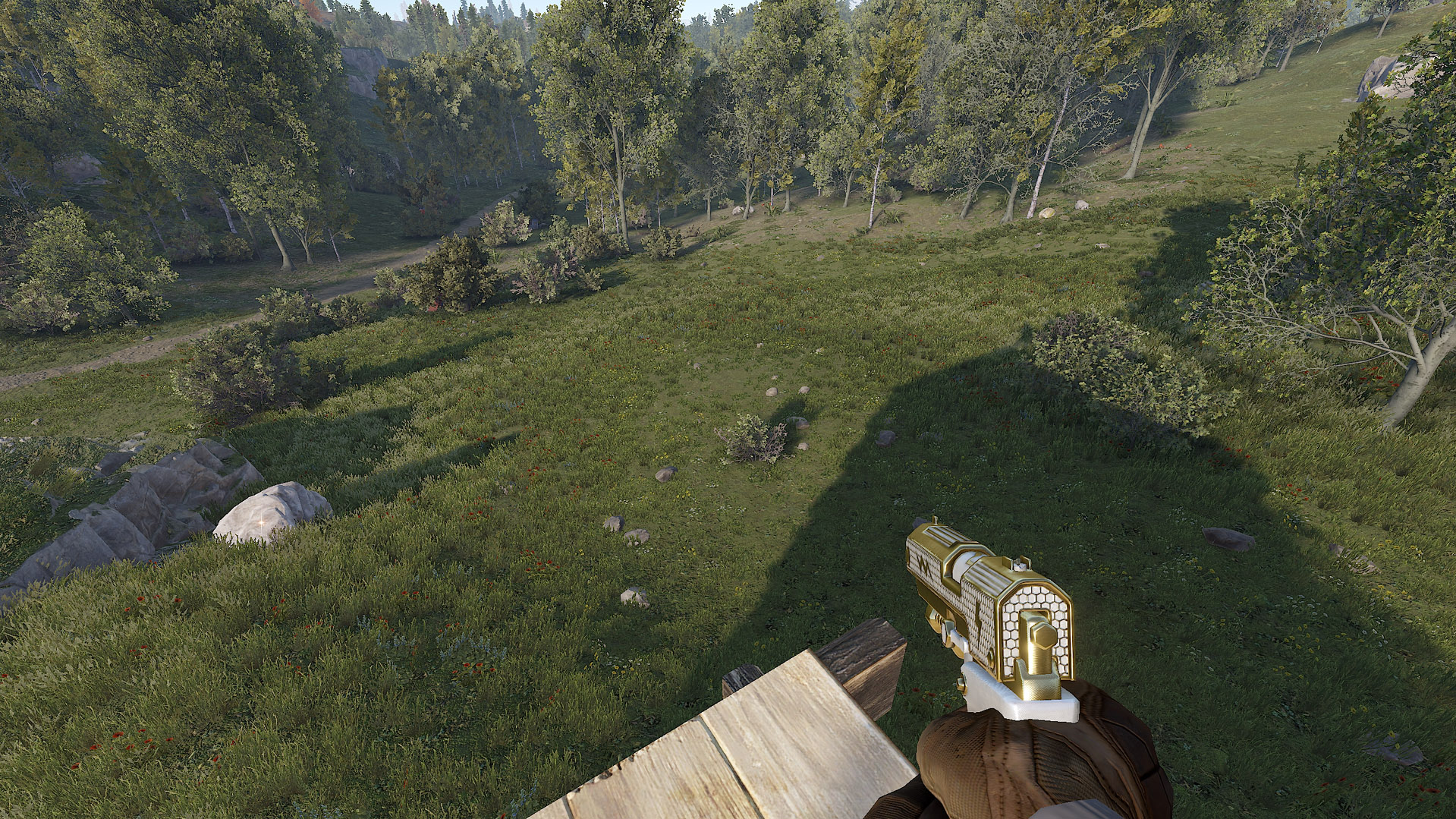 Thundergold SAP thumbnail 6