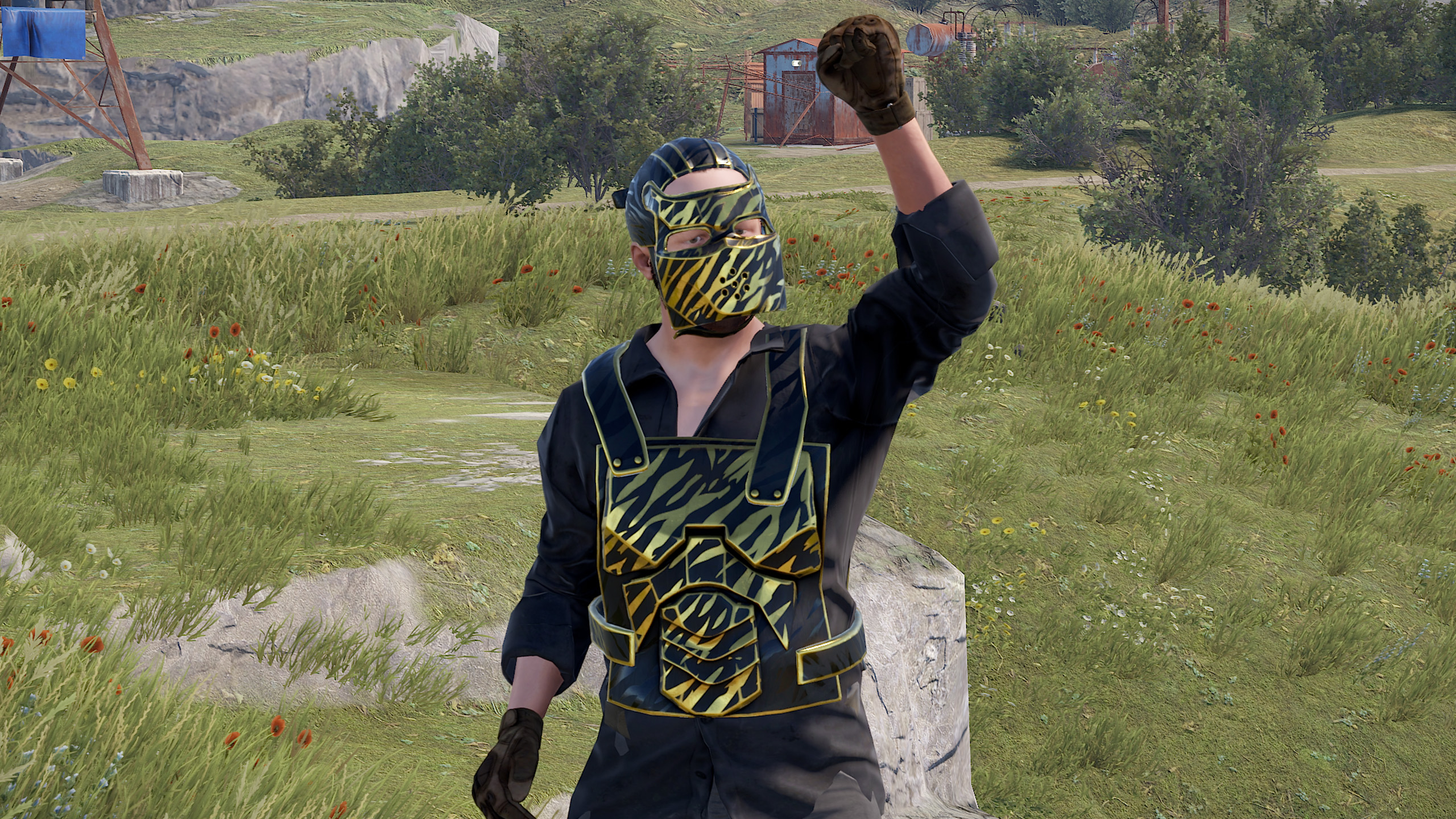 Royal Safari Chestplate thumbnail 7