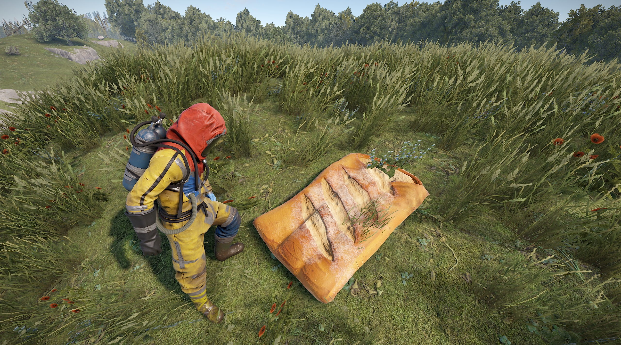 Sleeping Baguette thumbnail 4