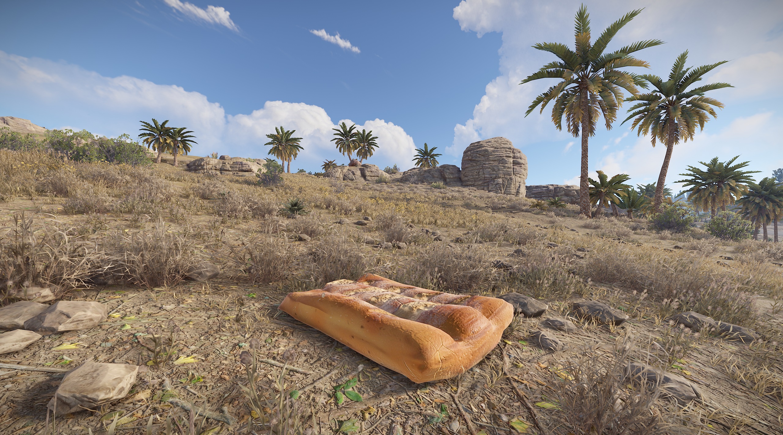 Sleeping Baguette thumbnail 5