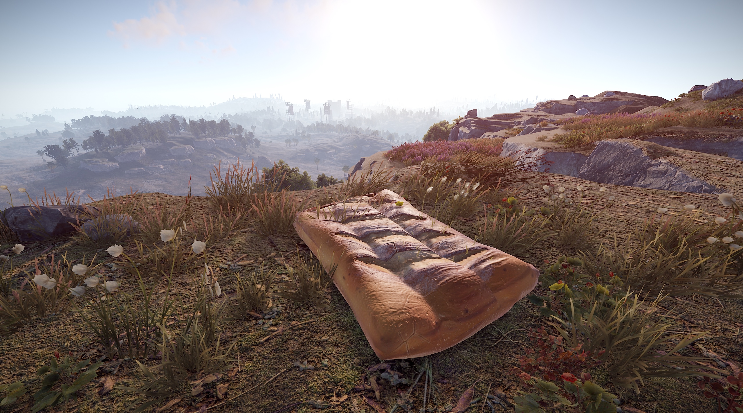 Sleeping Baguette thumbnail 8