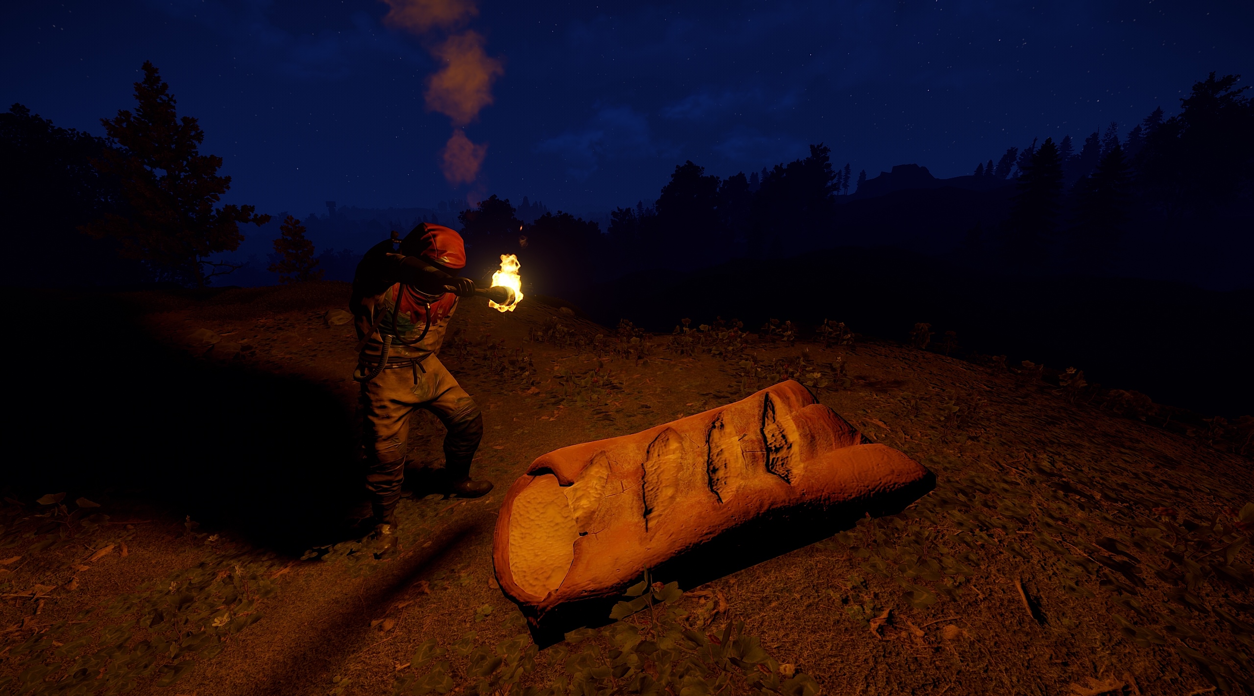 Sleeping Baguette thumbnail 9