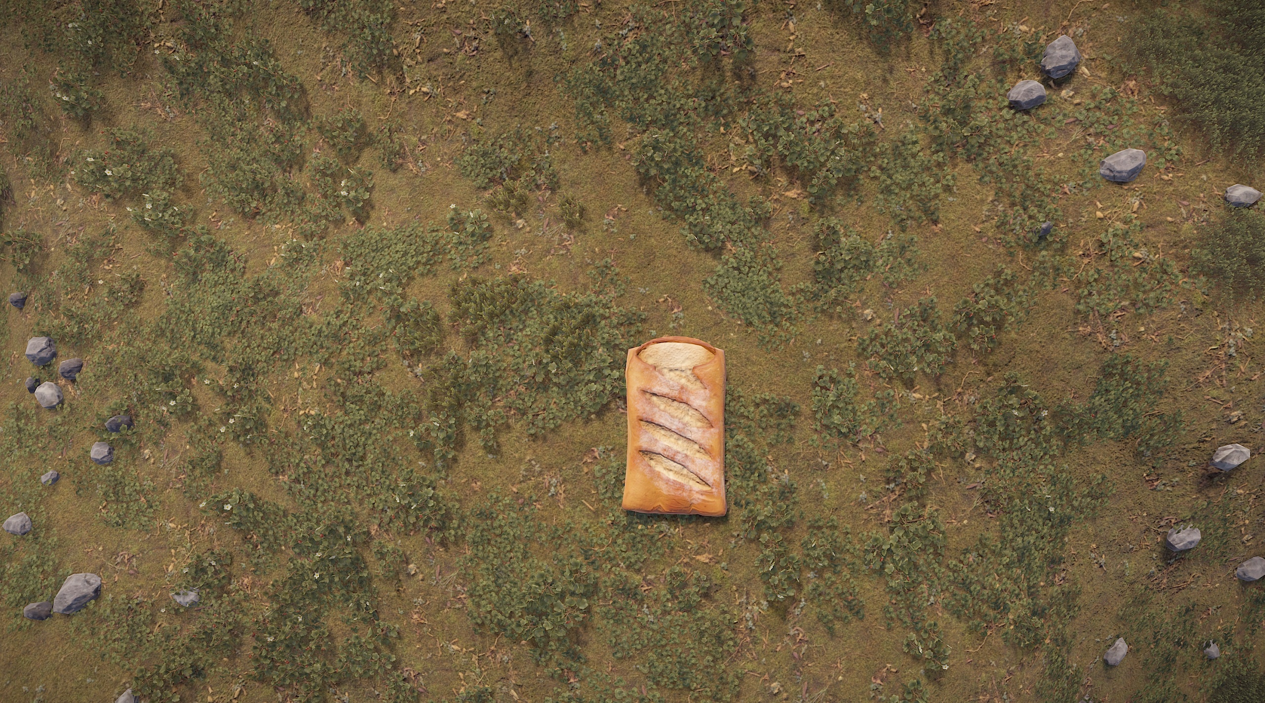 Sleeping Baguette thumbnail 11