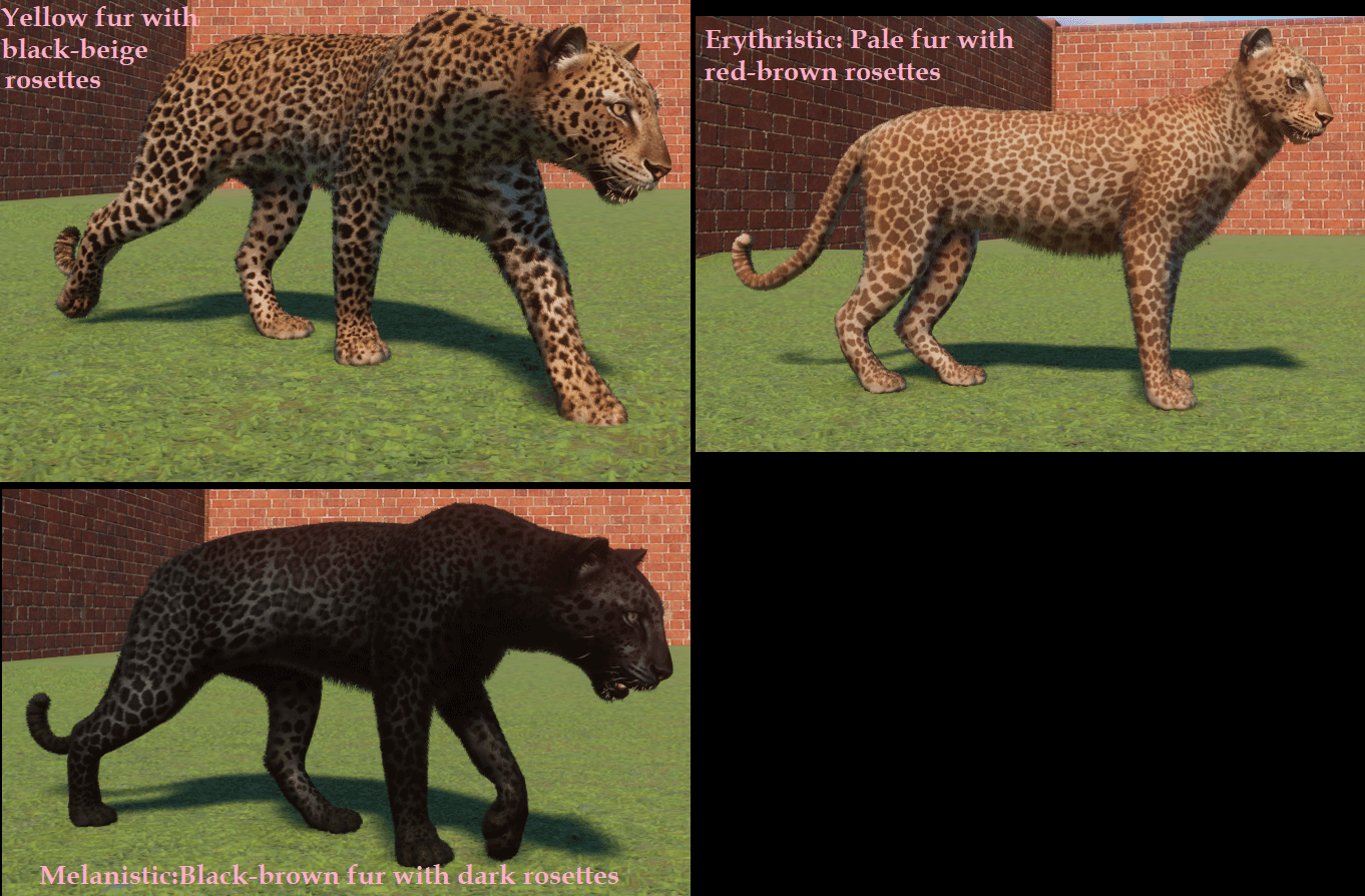 Steam Community :: Guide :: Planet Zoo: Colourmorph, image list.
