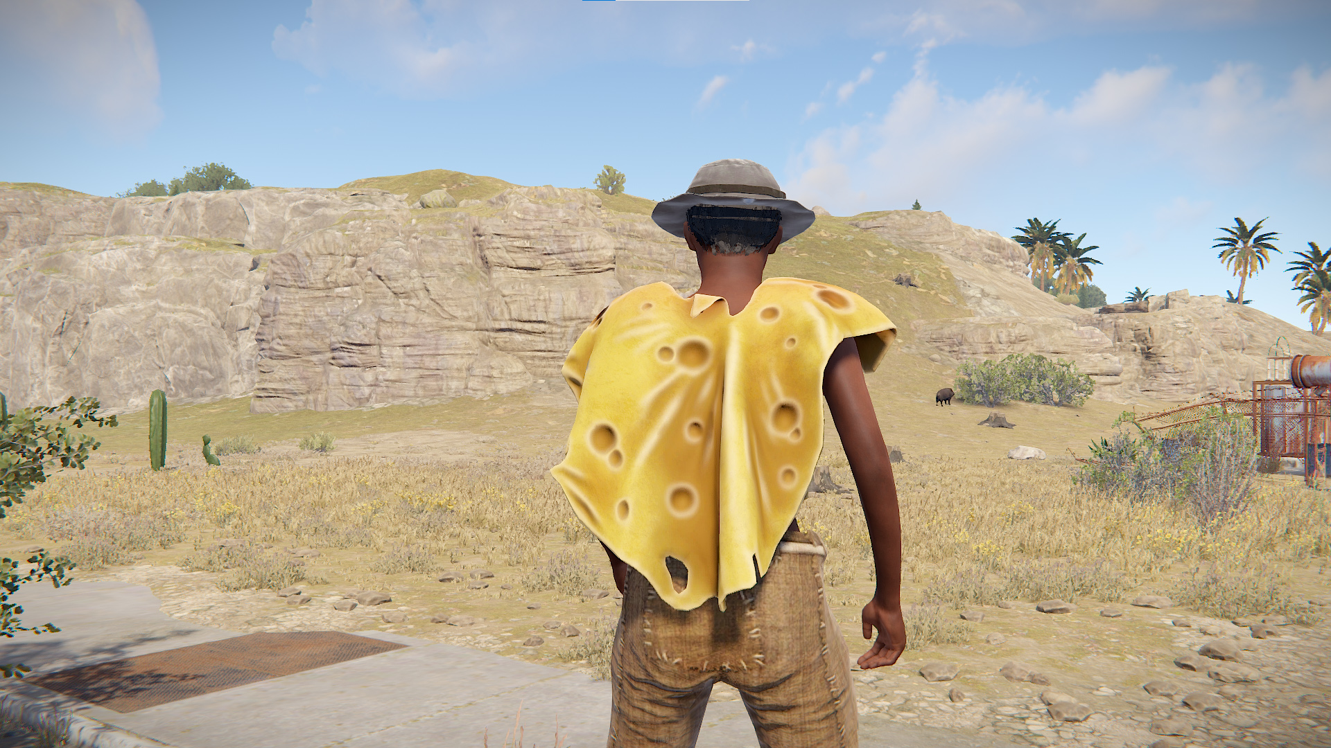 Cheese Poncho thumbnail 3