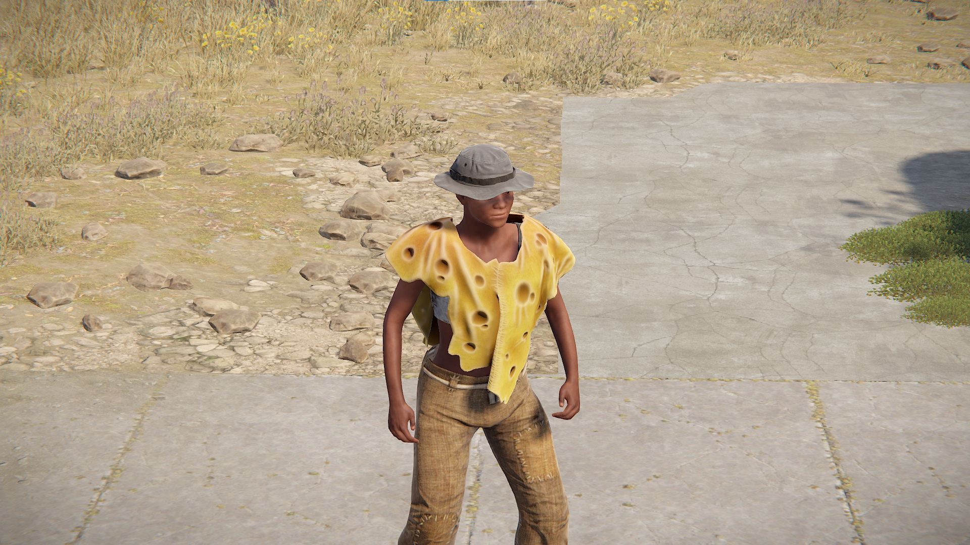 Cheese Poncho thumbnail 6