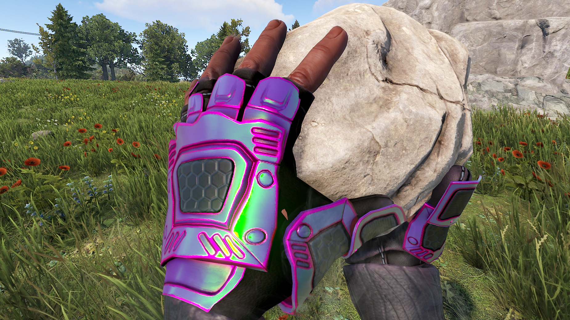 Chameleon Roadsign Gloves thumbnail 4