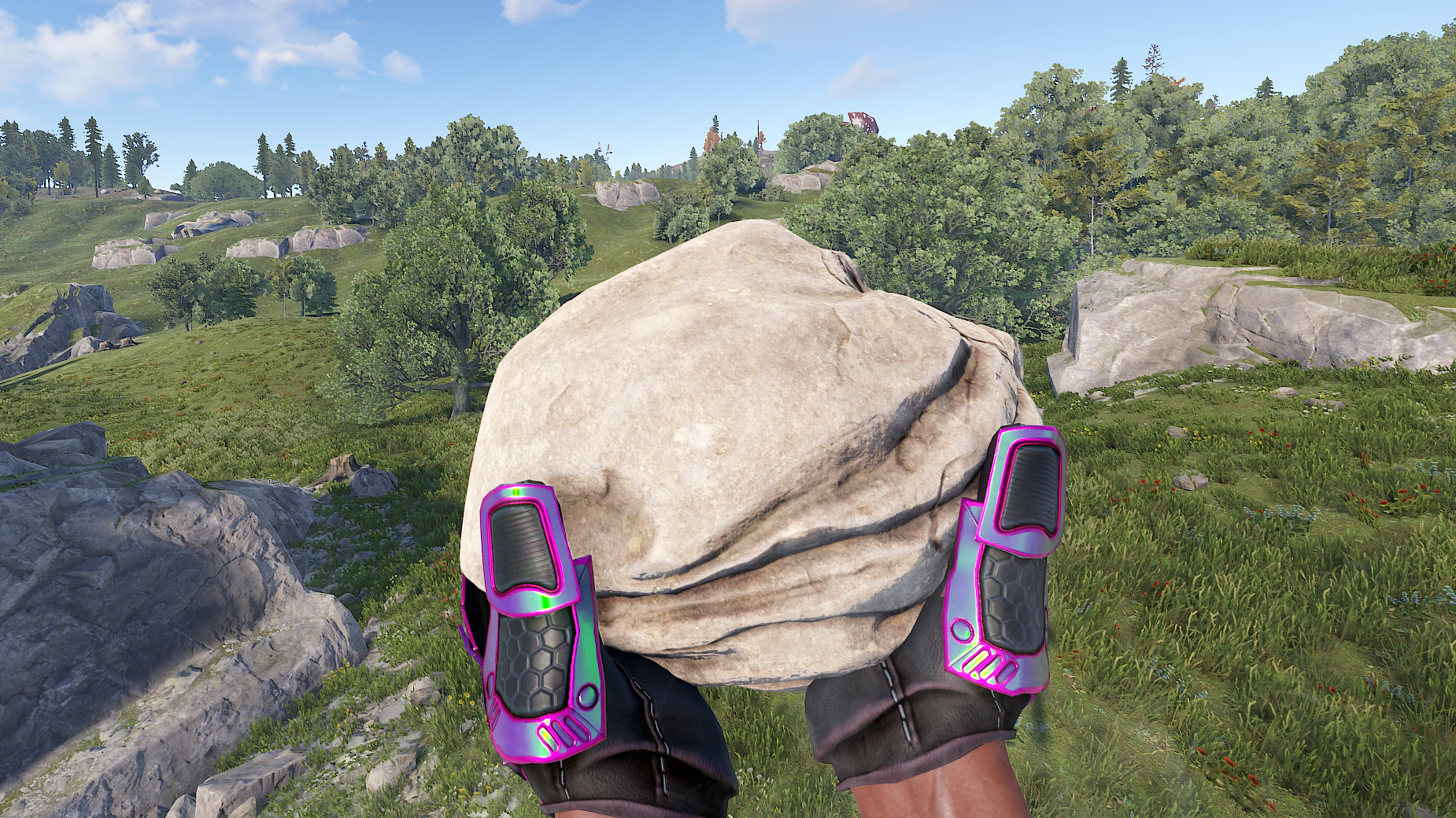 Chameleon Roadsign Gloves thumbnail 3