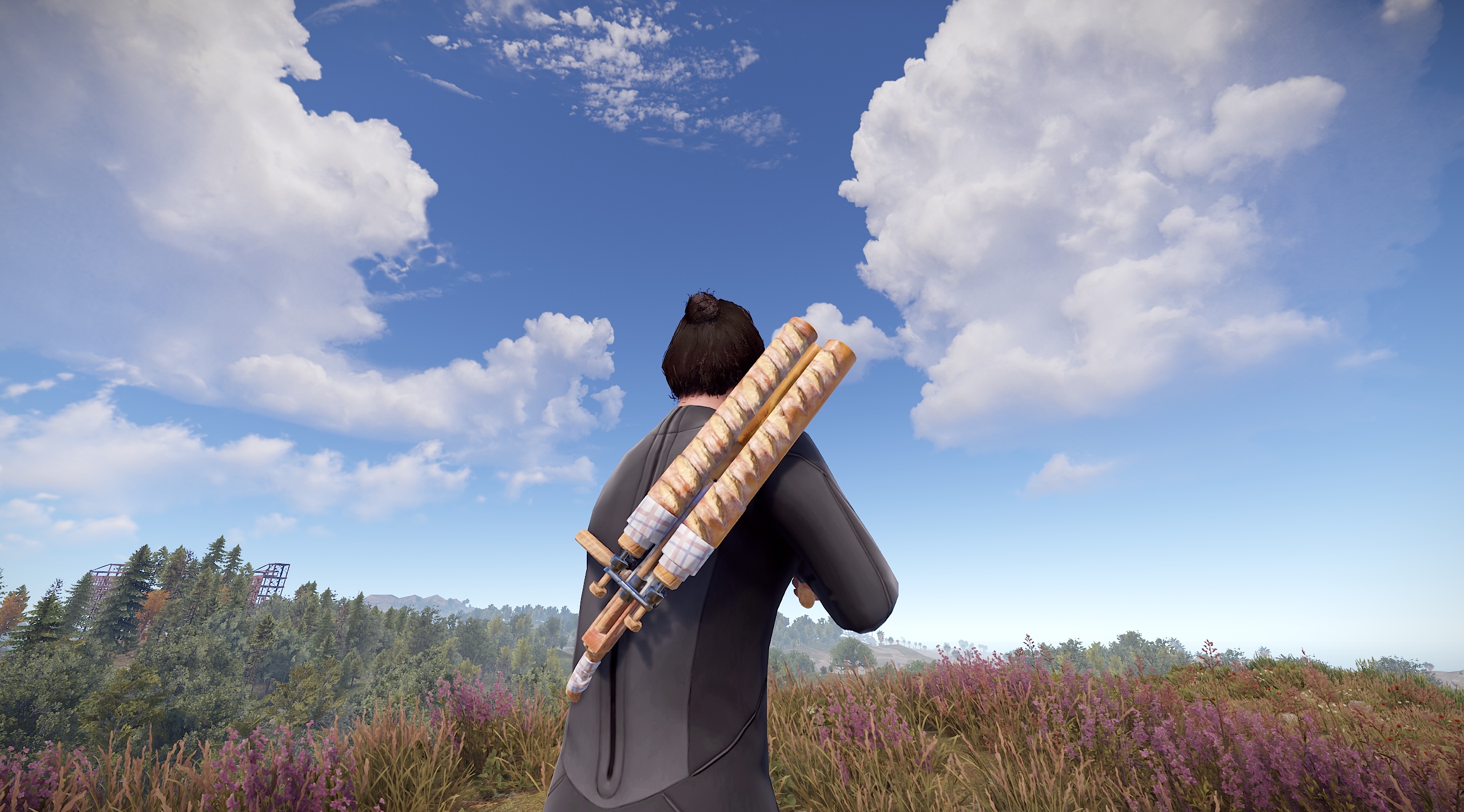 Double Baguette thumbnail 10