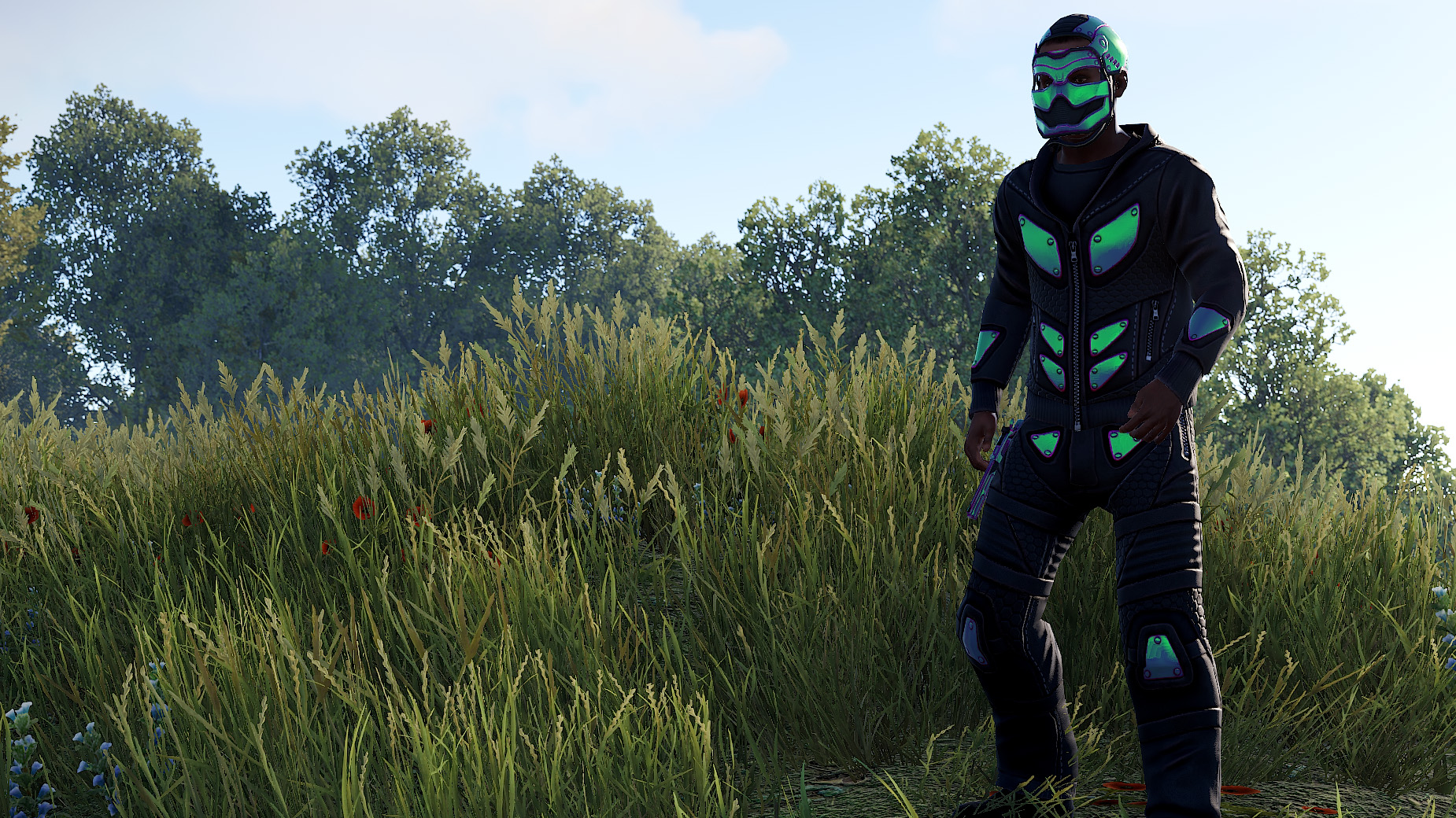 Chameleon Hoodie thumbnail 4