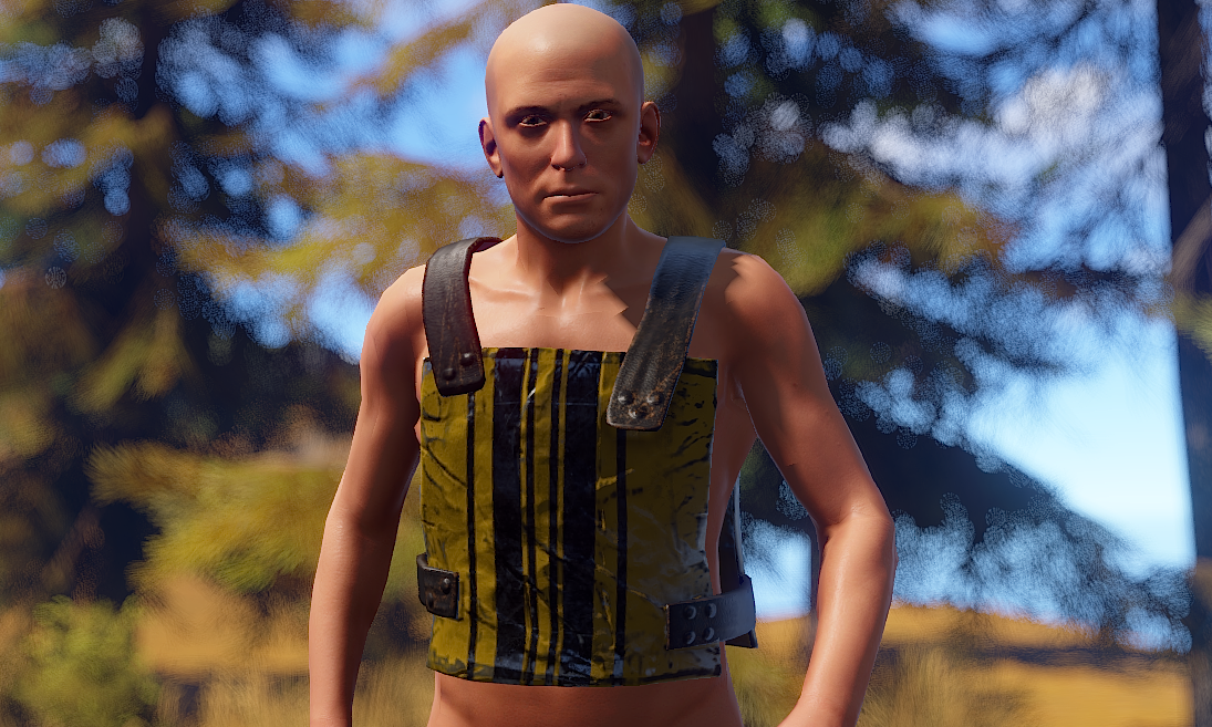 Racing Stripes Chest Plate screenshot 1