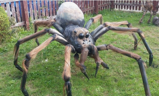 Гигантский паук охотник фото Гигантский паук охотник фото