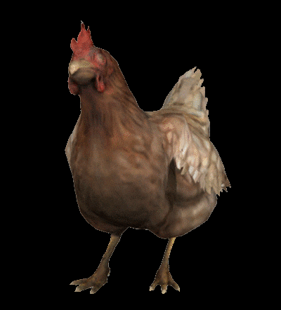 Steam Community :: Guide :: Chicken