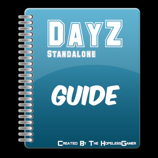 Guide for DayZ - Walkthrough overview