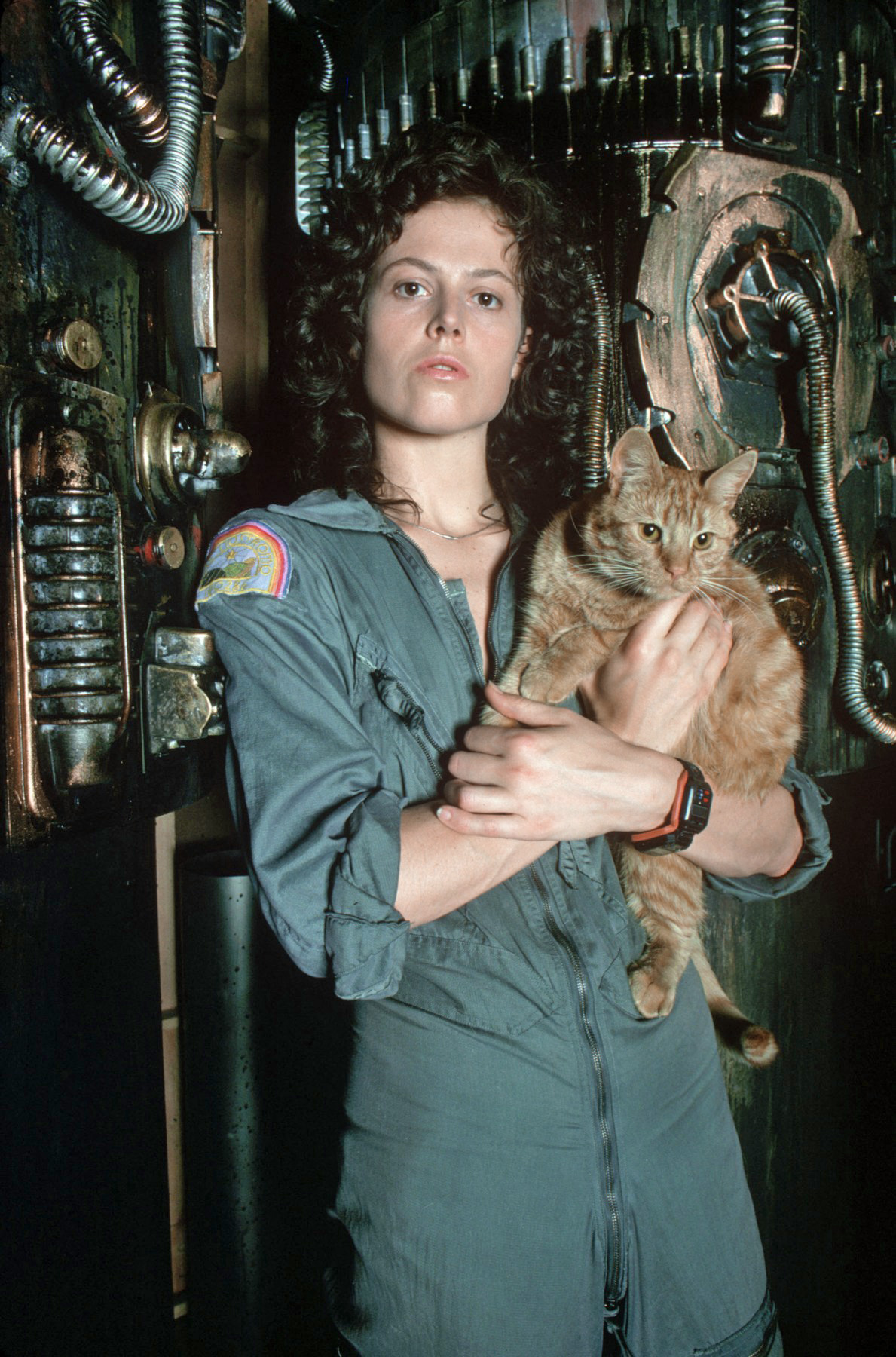 alien isolation steam